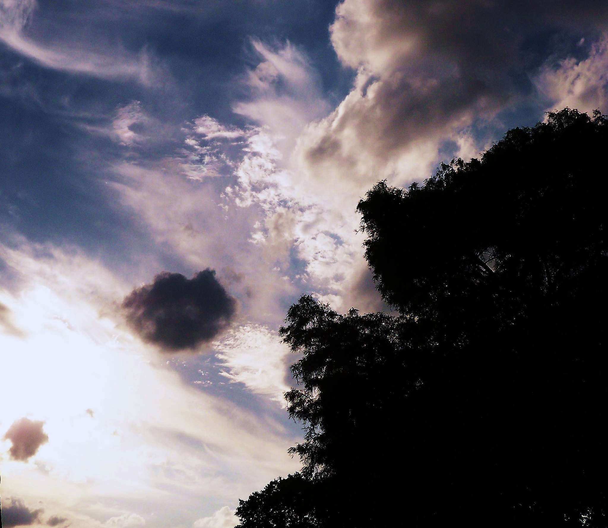 Kodak EASYSHARE C142 DIGITAL CAMERA sample photo. Flying head photography