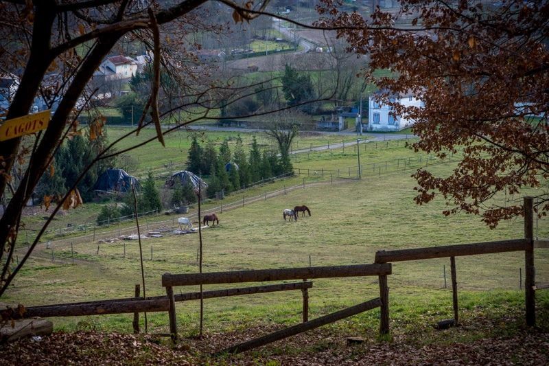 Sigma 24-70mm F2.8 EX DG HSM sample photo. Chateau de montaner photography