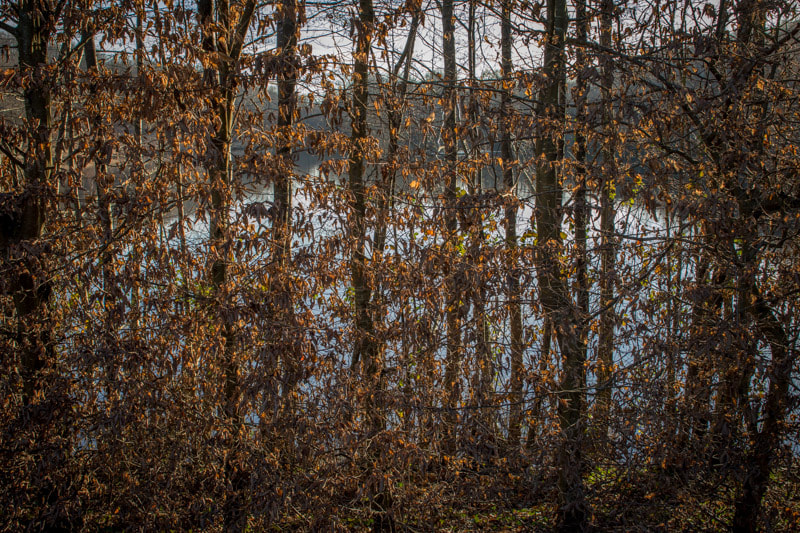 Sigma 24-70mm F2.8 EX DG HSM sample photo. Chateau de montaner photography