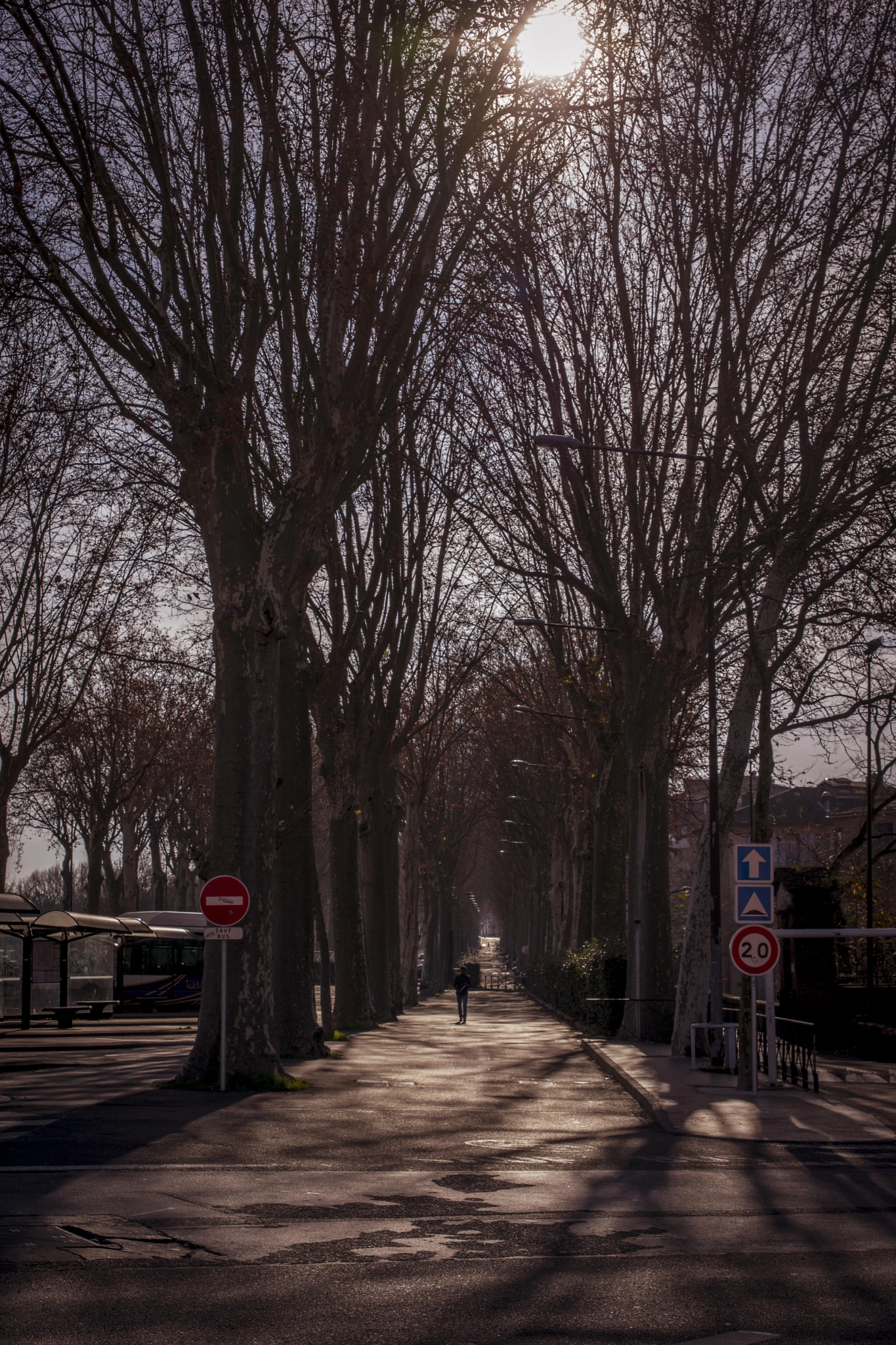 Sigma 24-70mm F2.8 EX DG HSM sample photo. Toulouse decembre photography