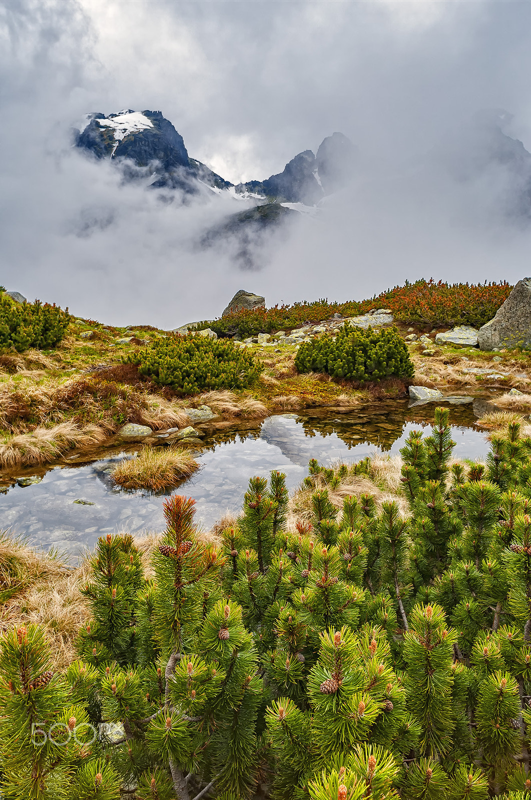 Pentax K20D + Sigma sample photo. High tatra photography