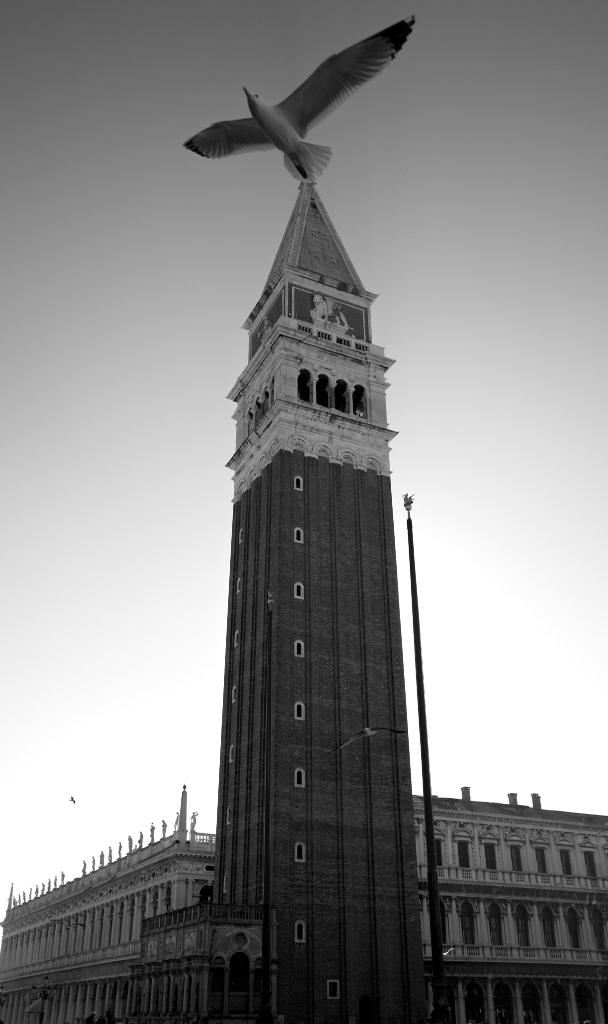 DSC_0205.jpg