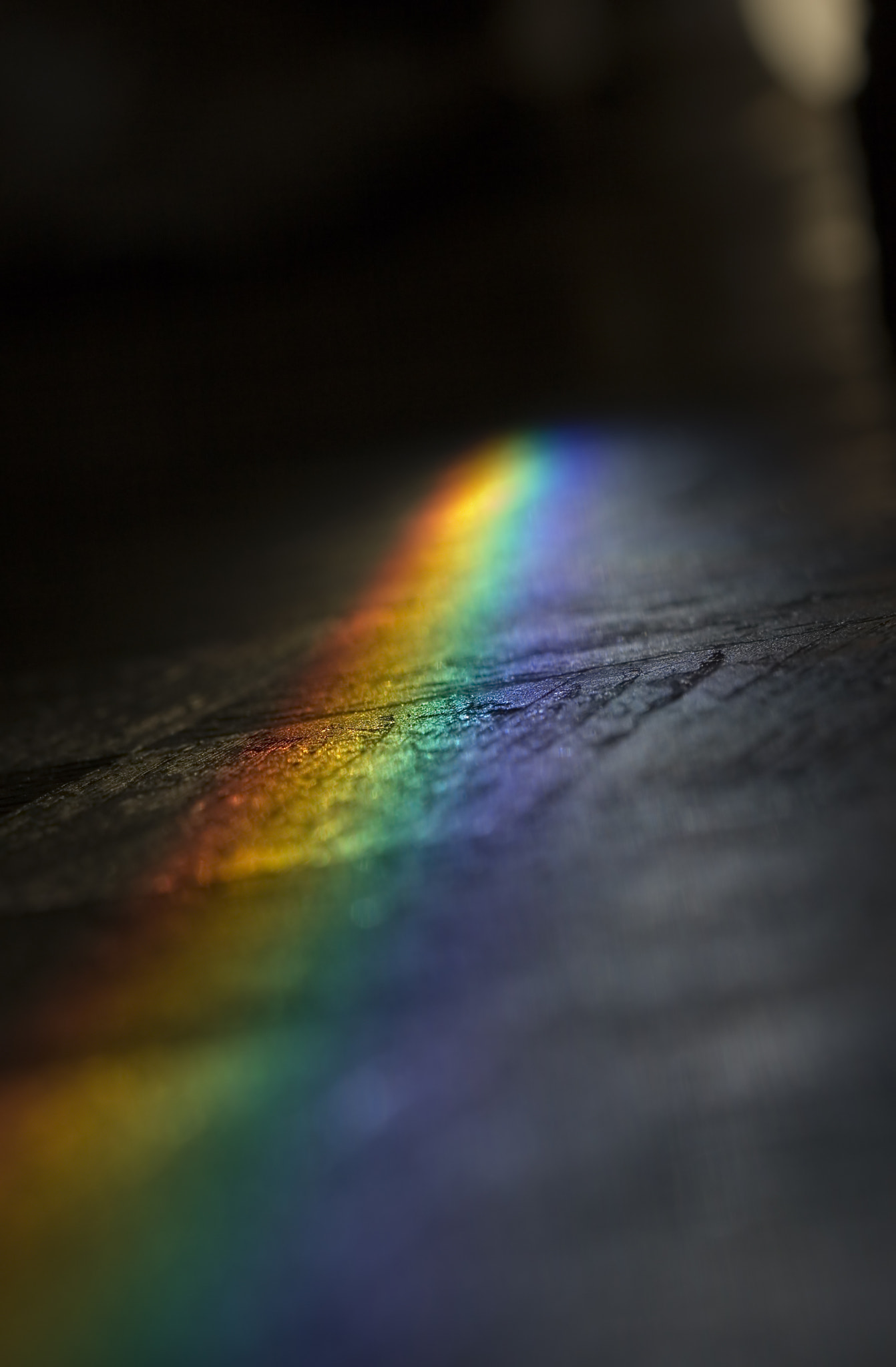 Canon EF 100mm F2.8 Macro USM sample photo. Rainbow photography