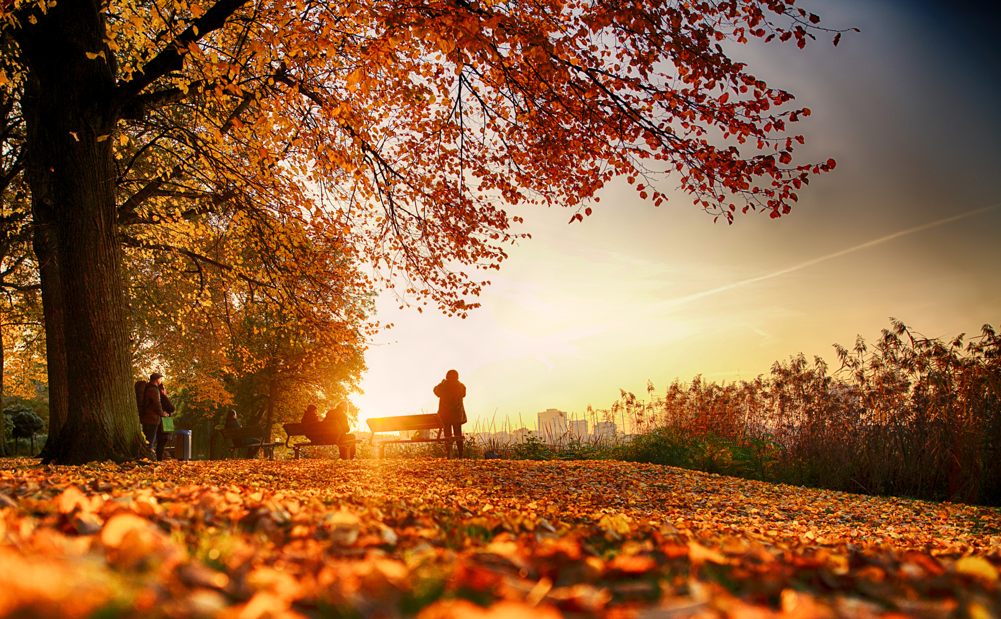 24mm F1.4 sample photo. Golden photography