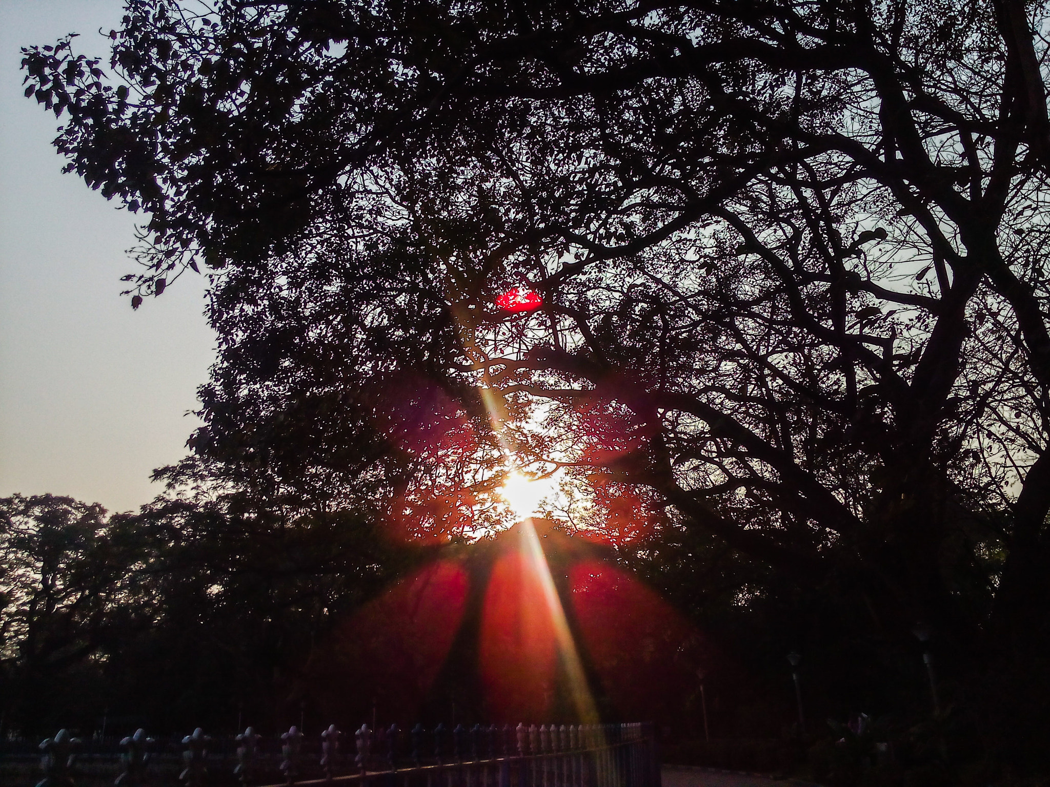 Micromax Canvas Spark sample photo. Psx_20160129_174340.jpg photography