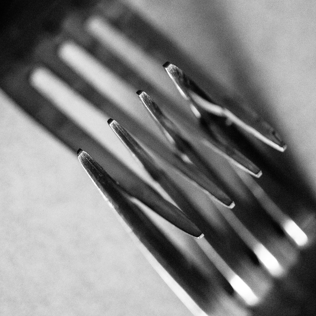 Sony Alpha NEX-7 + Sony E 30mm F3.5 Macro sample photo