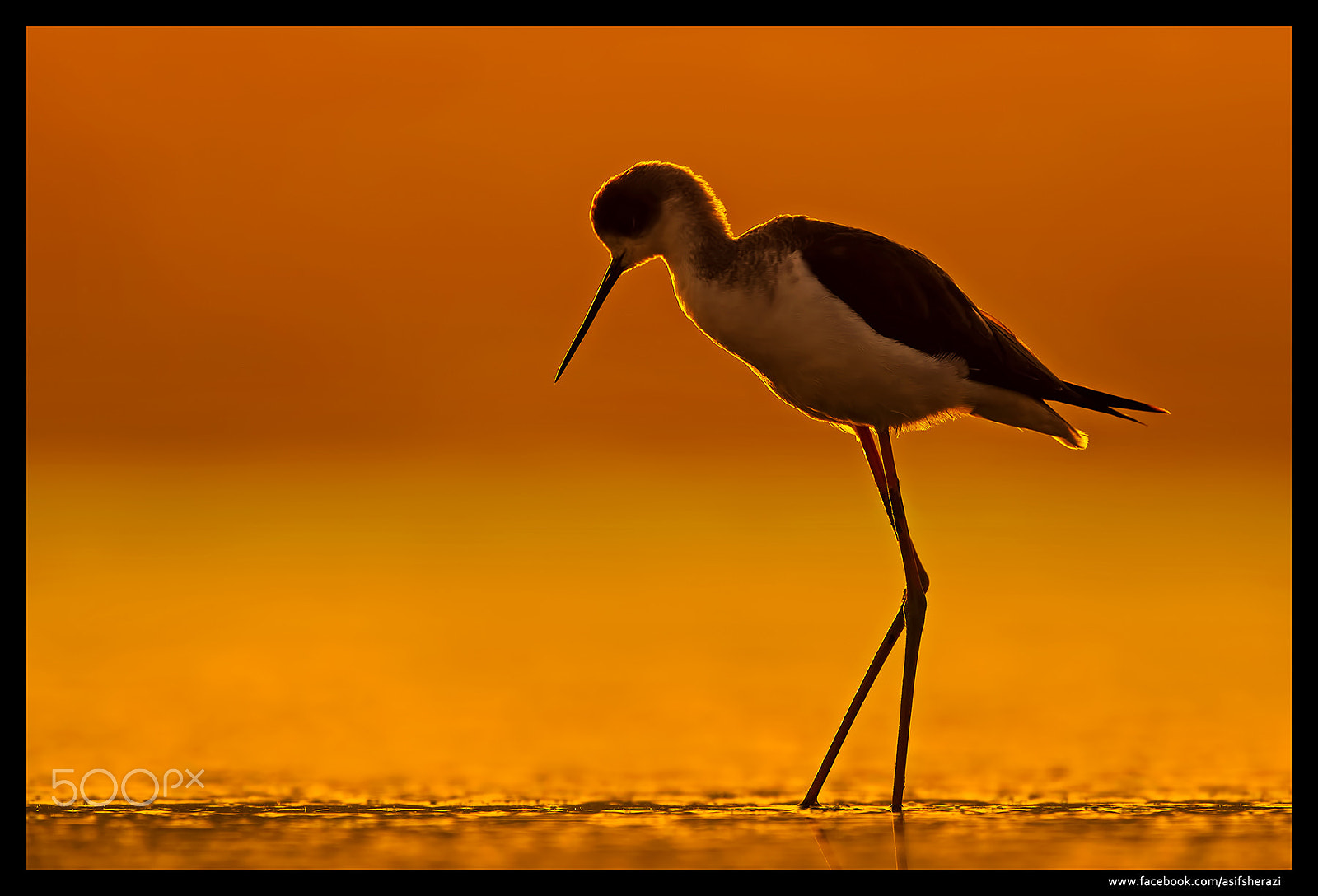 Nikon D4S sample photo. Beauty of the nature photography