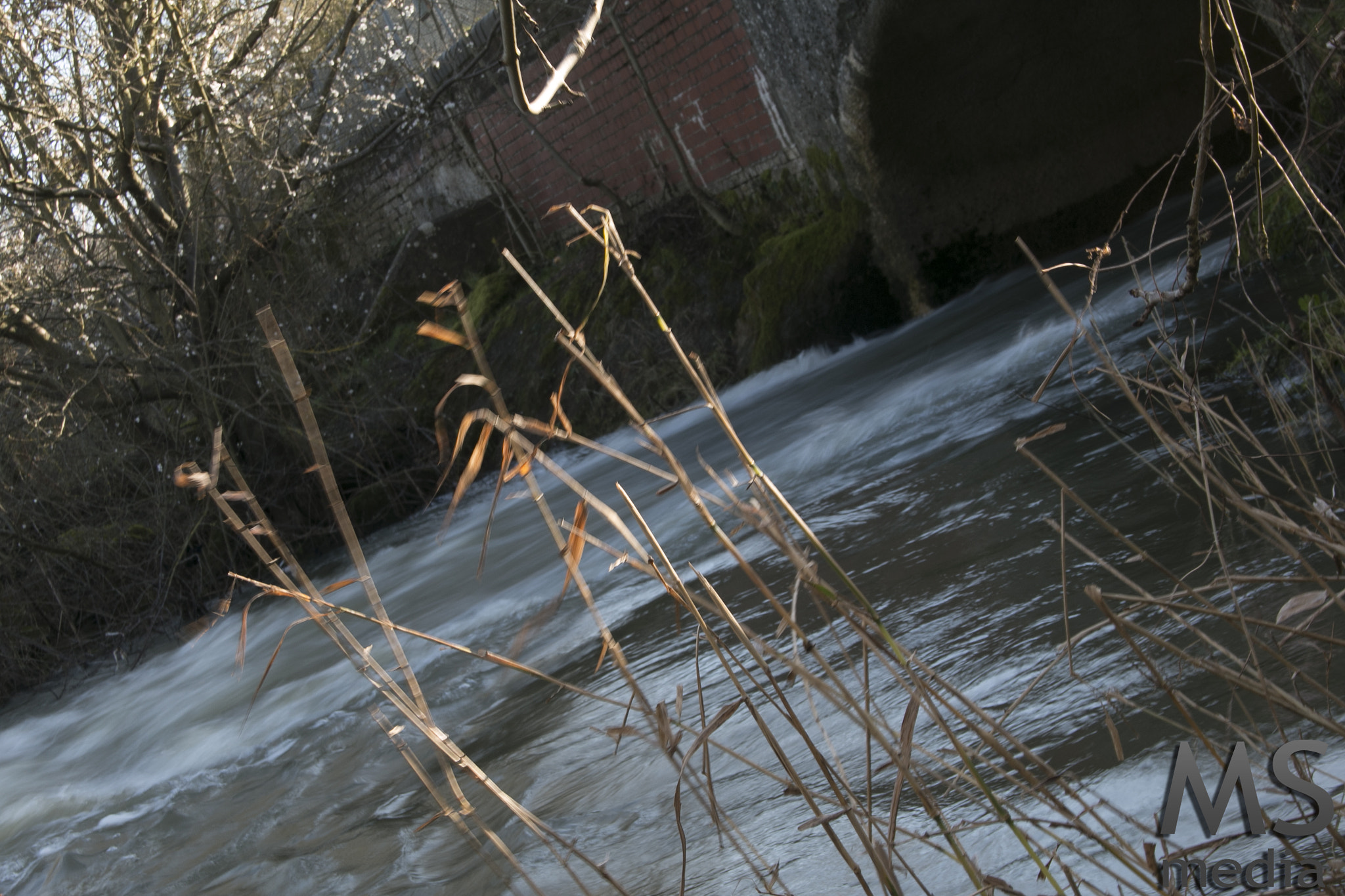 Canon EF-S 18-55mm F3.5-5.6 sample photo. Winter in the country park photography