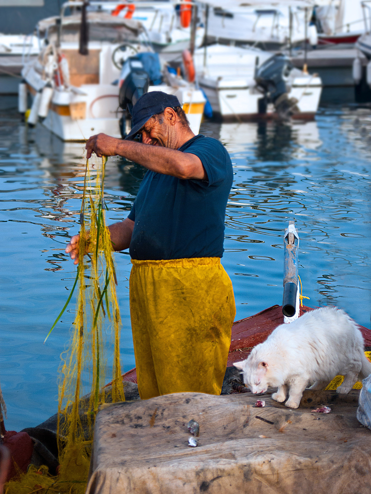 AF Zoom-Nikkor 28-80mm f/3.3-5.6G sample photo. Fisherman and cat photography