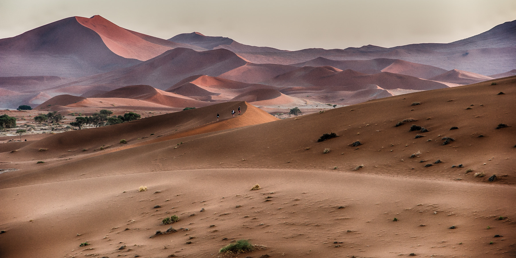 Nikon D3S sample photo. Promenade sur les dunes photography