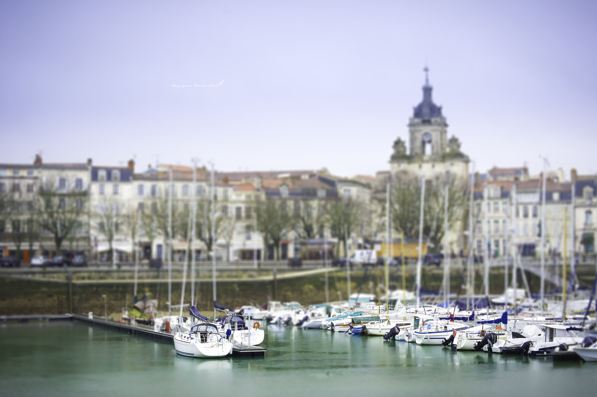 Sony SLT-A33 + Sony DT 50mm F1.8 SAM sample photo. La rochelle photography