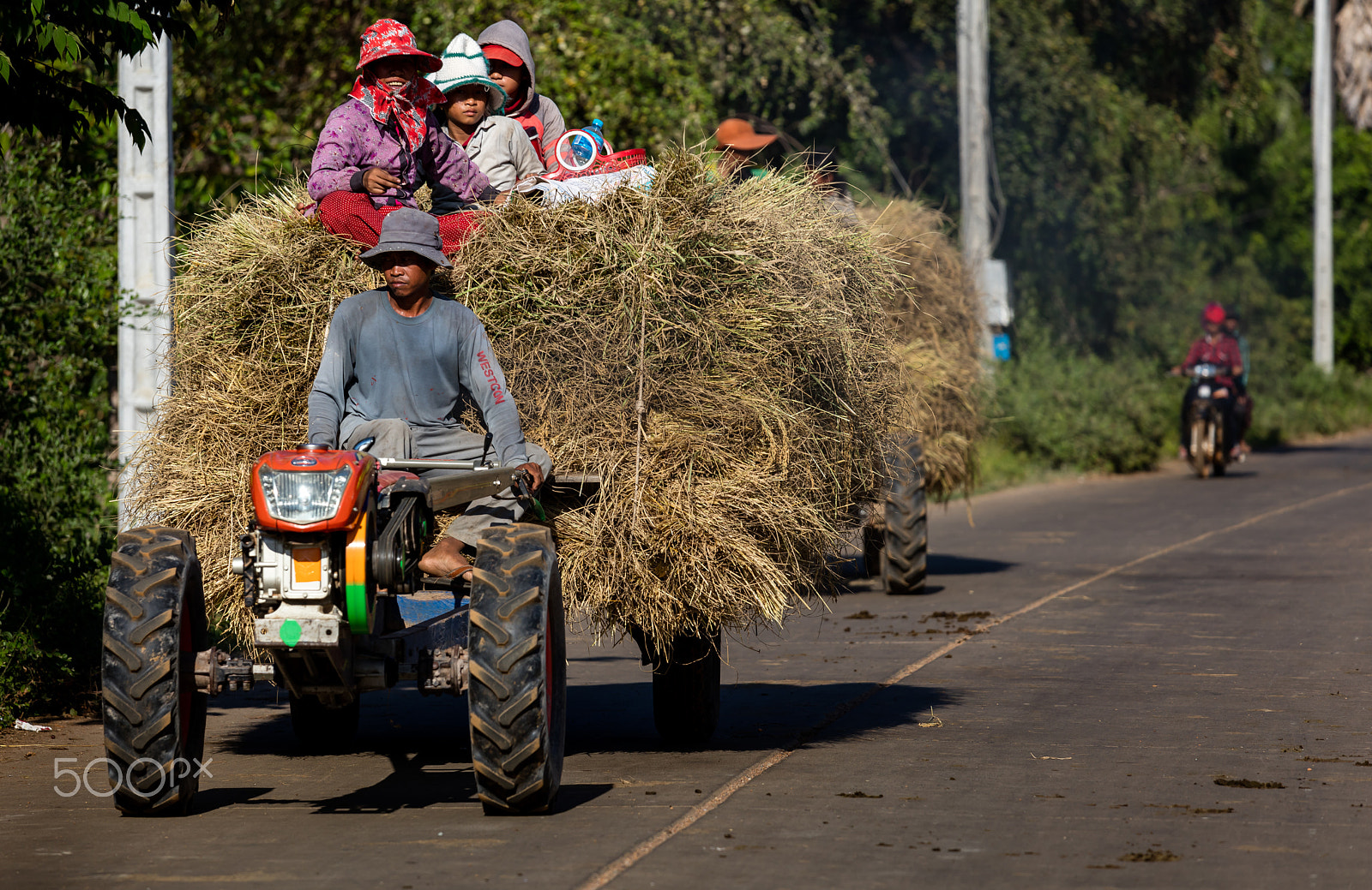 Canon EF 70-200mm F4L IS USM sample photo. Coming home with hay photography