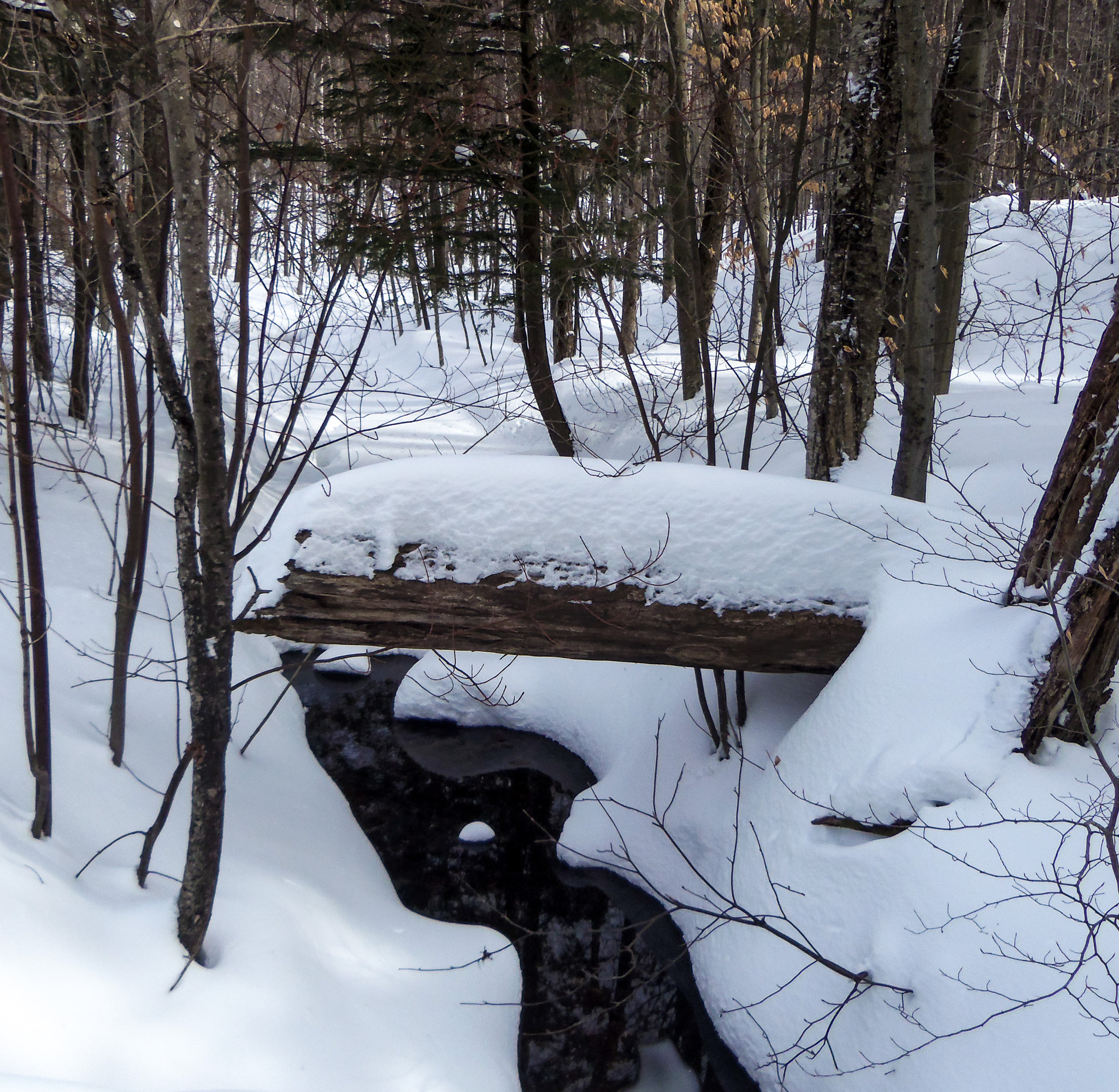 Kodak EASYSHARE TOUCH CAMERA, M5370 sample photo. Snowy stream photography