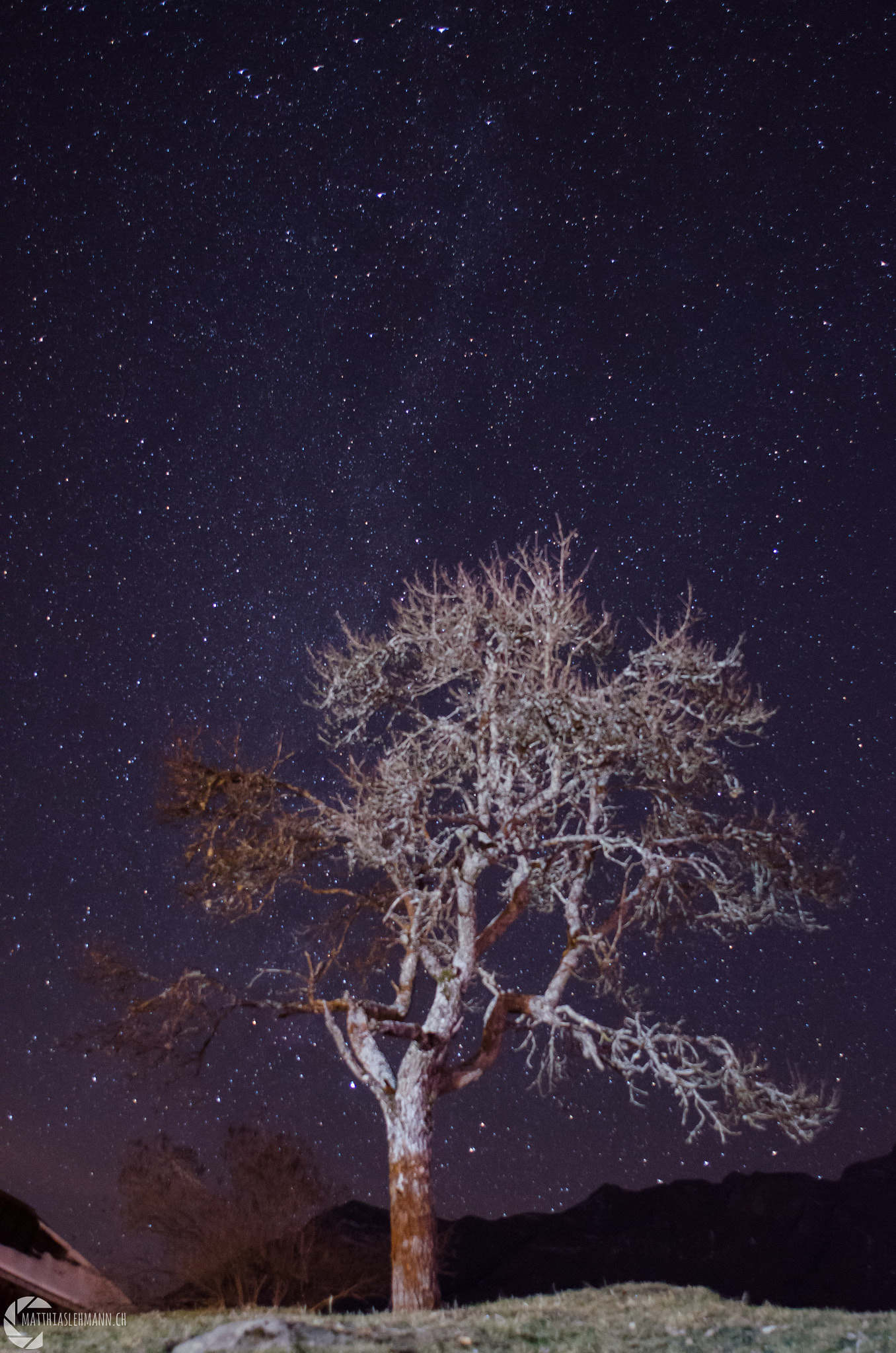 Nikon D7000 + AF Nikkor 24mm f/2.8 sample photo. Nuit et étoilée de décembre photography