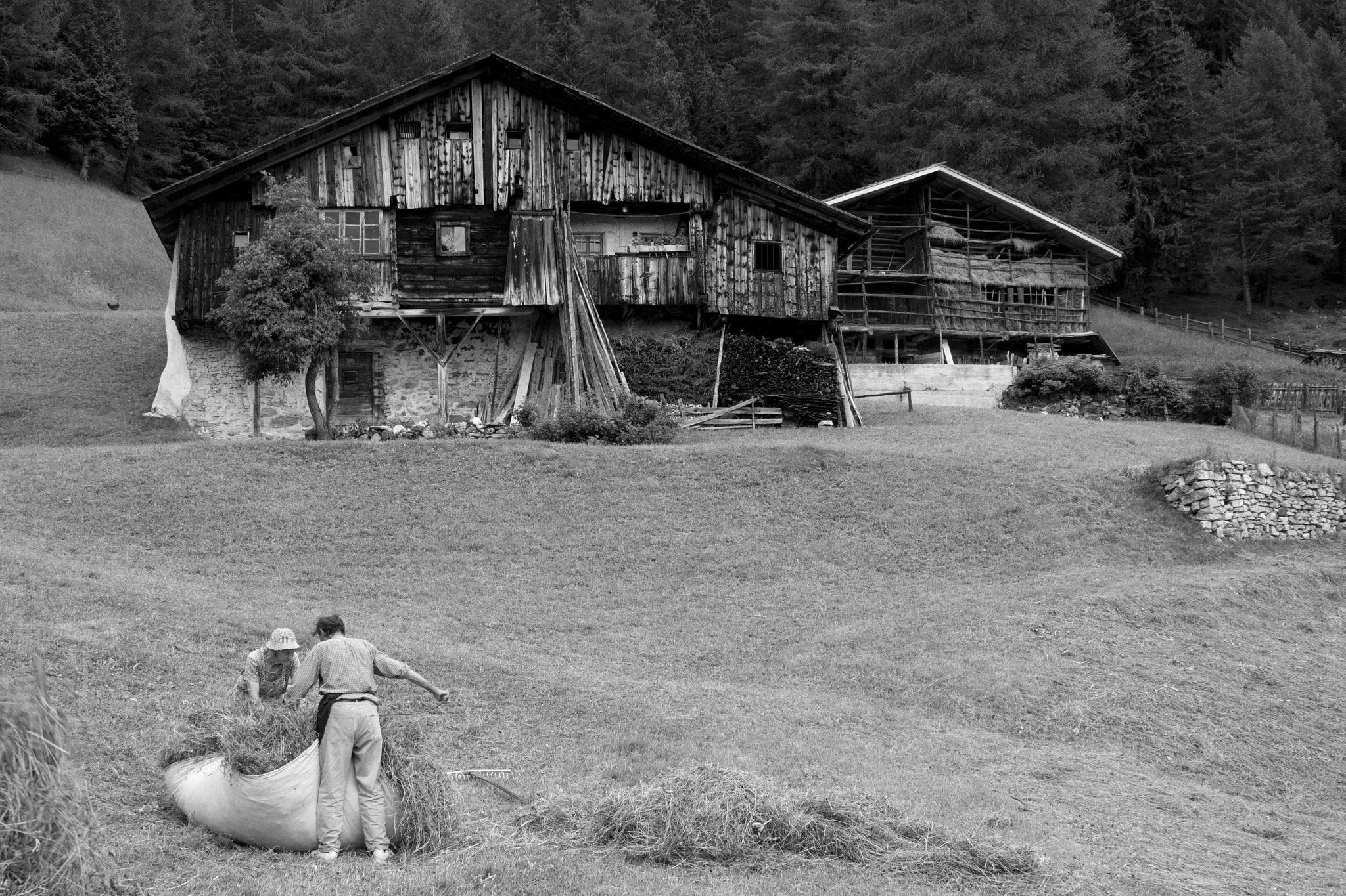 Canon EF 28-135mm F3.5-5.6 IS USM sample photo. Hay harvesting on a old farm in the mountains photography