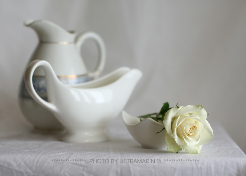 Canon EOS 5D + Canon EF 85mm F1.2L II USM sample photo. - photography