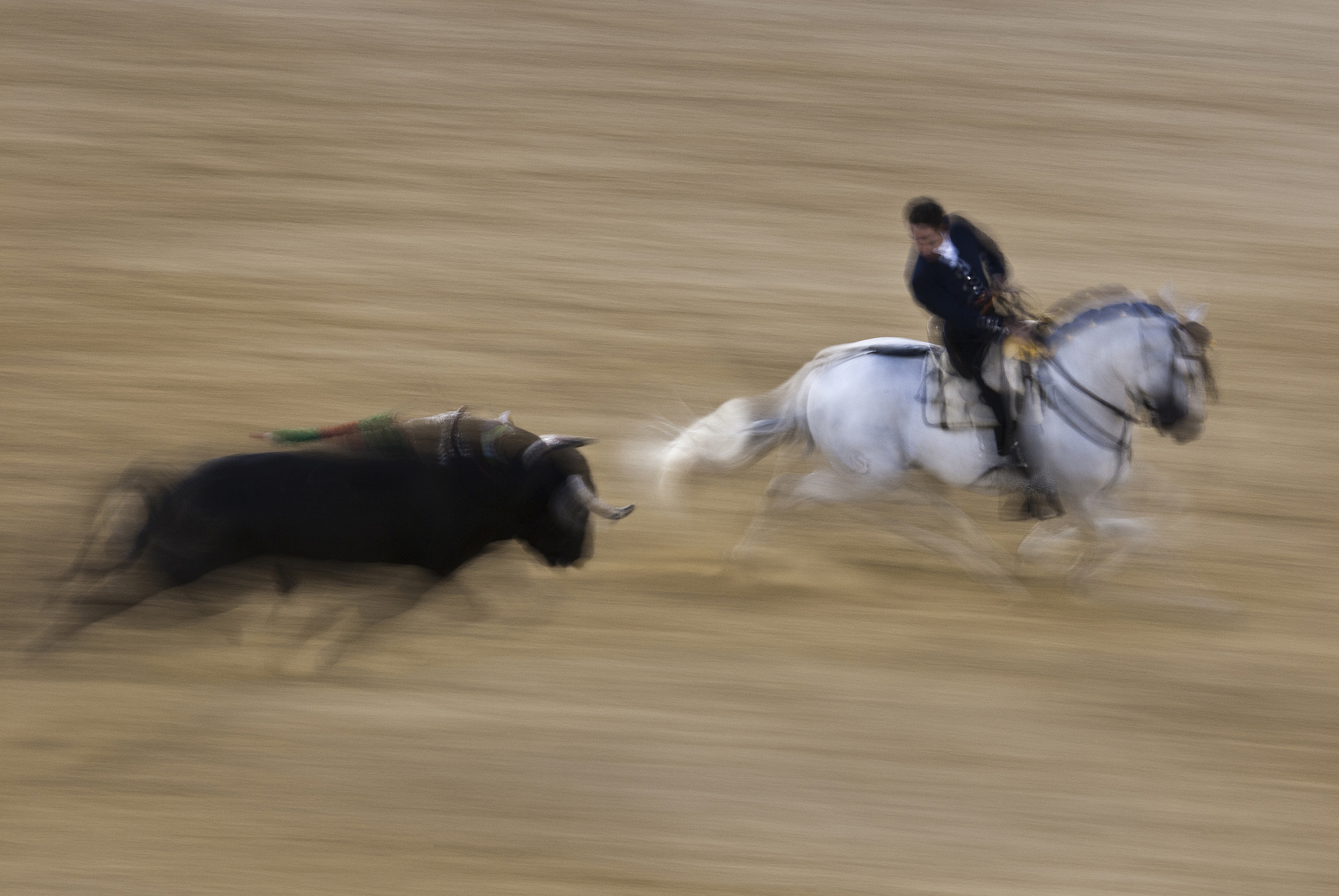 Sigma 150-500mm F5-6.3 DG OS HSM sample photo. Rejoneo photography