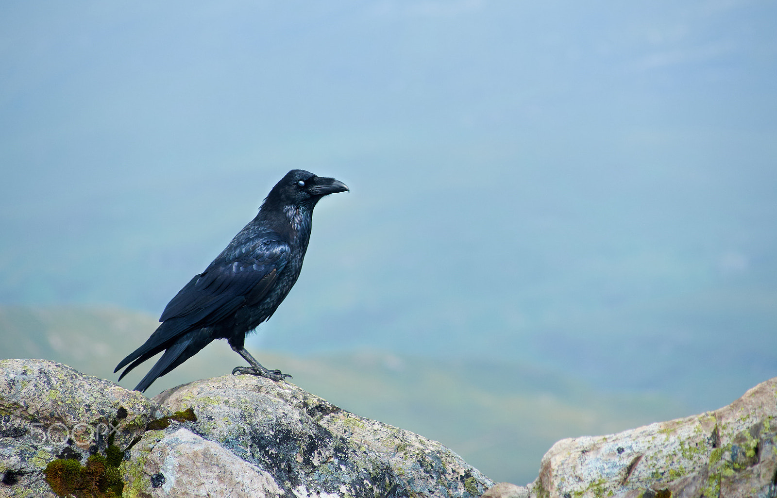 Minolta AF 100-200mm F4.5 sample photo. Buachaille etive mòr raven photography
