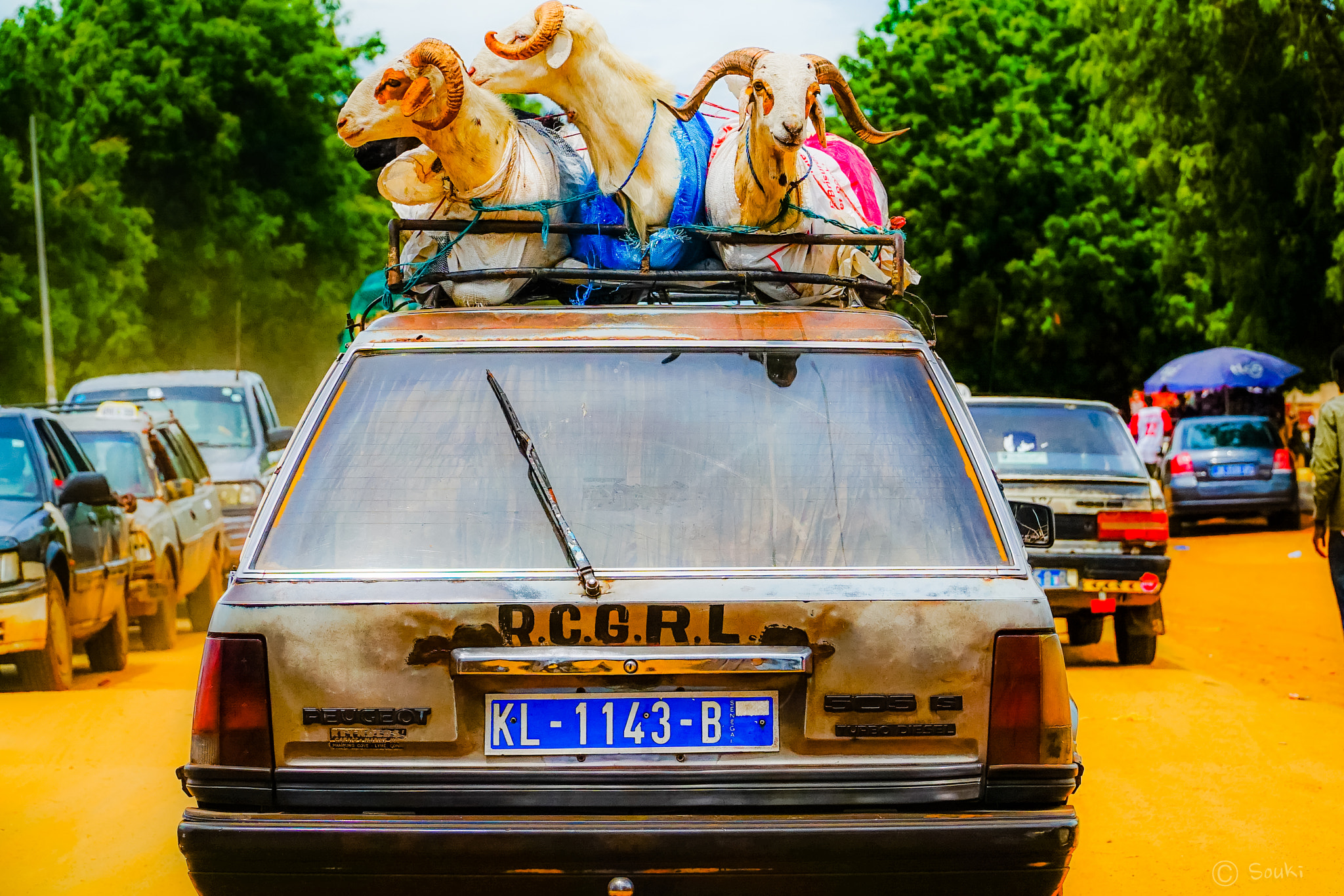 Sony a7 + Sony E PZ 18-105mm F4 G OSS sample photo. Senegal photography