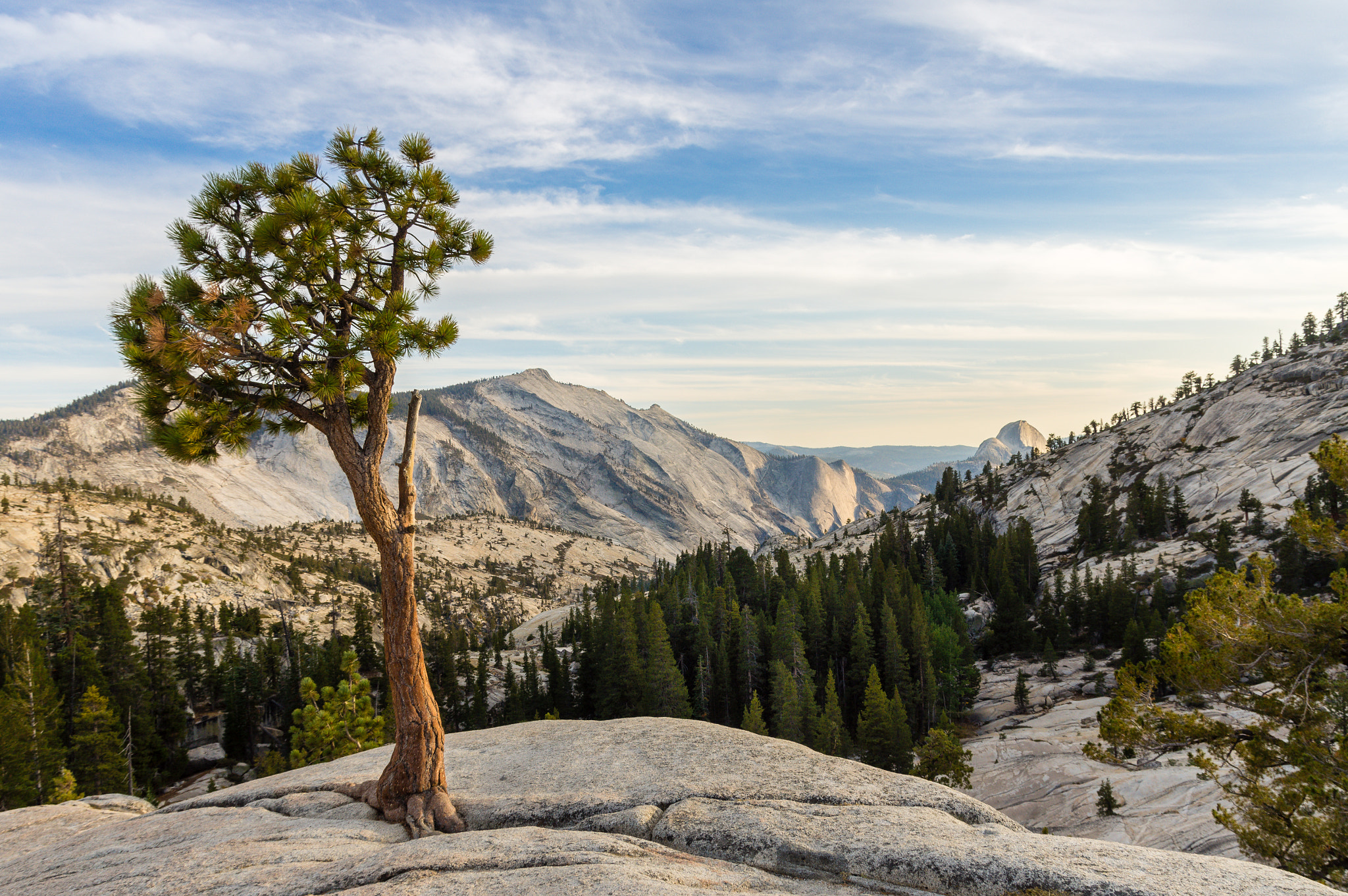 Sony Alpha DSLR-A580 sample photo. Olmsted point photography