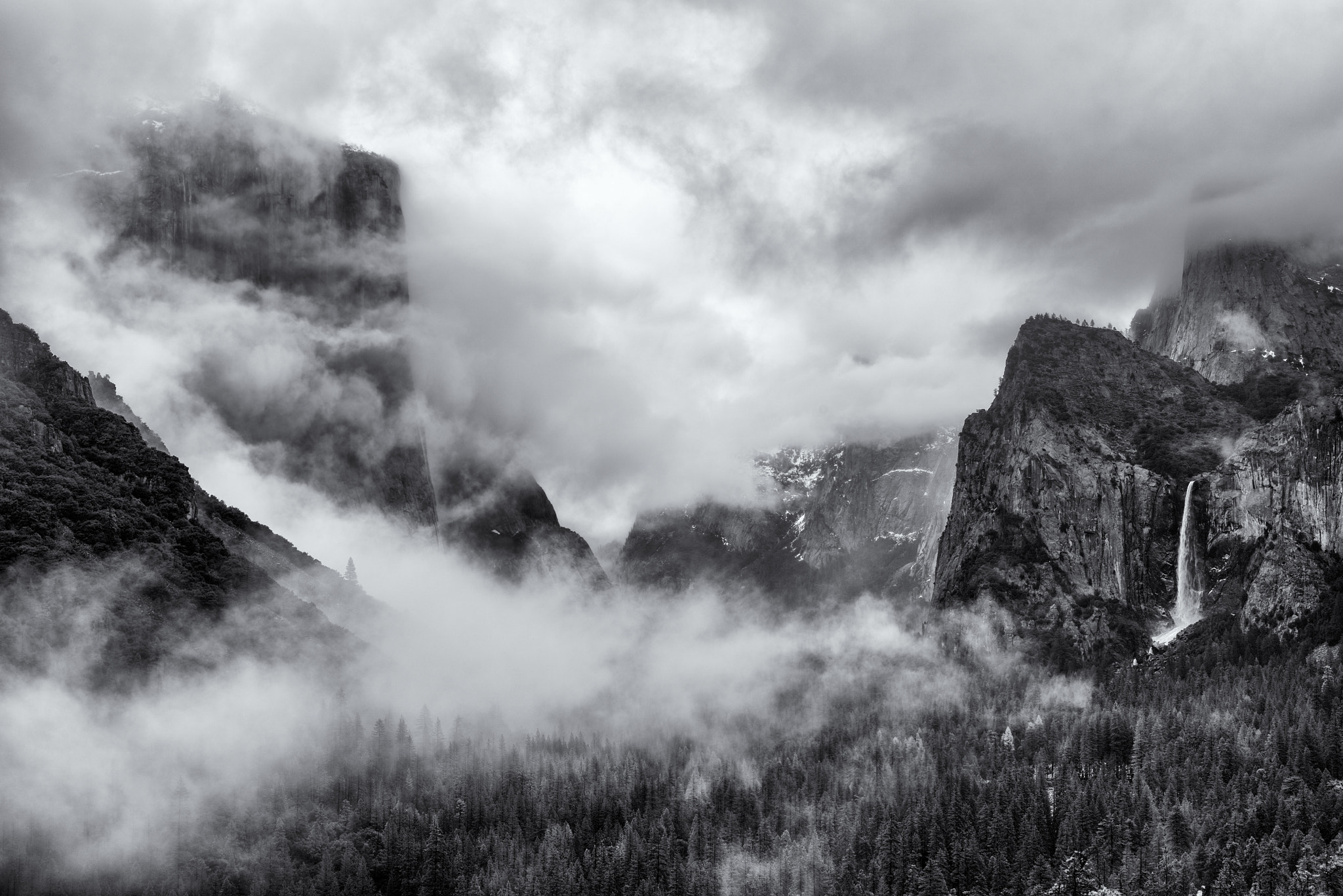 ZEISS Otus 55mm F1.4 sample photo. Yosemite mist photography