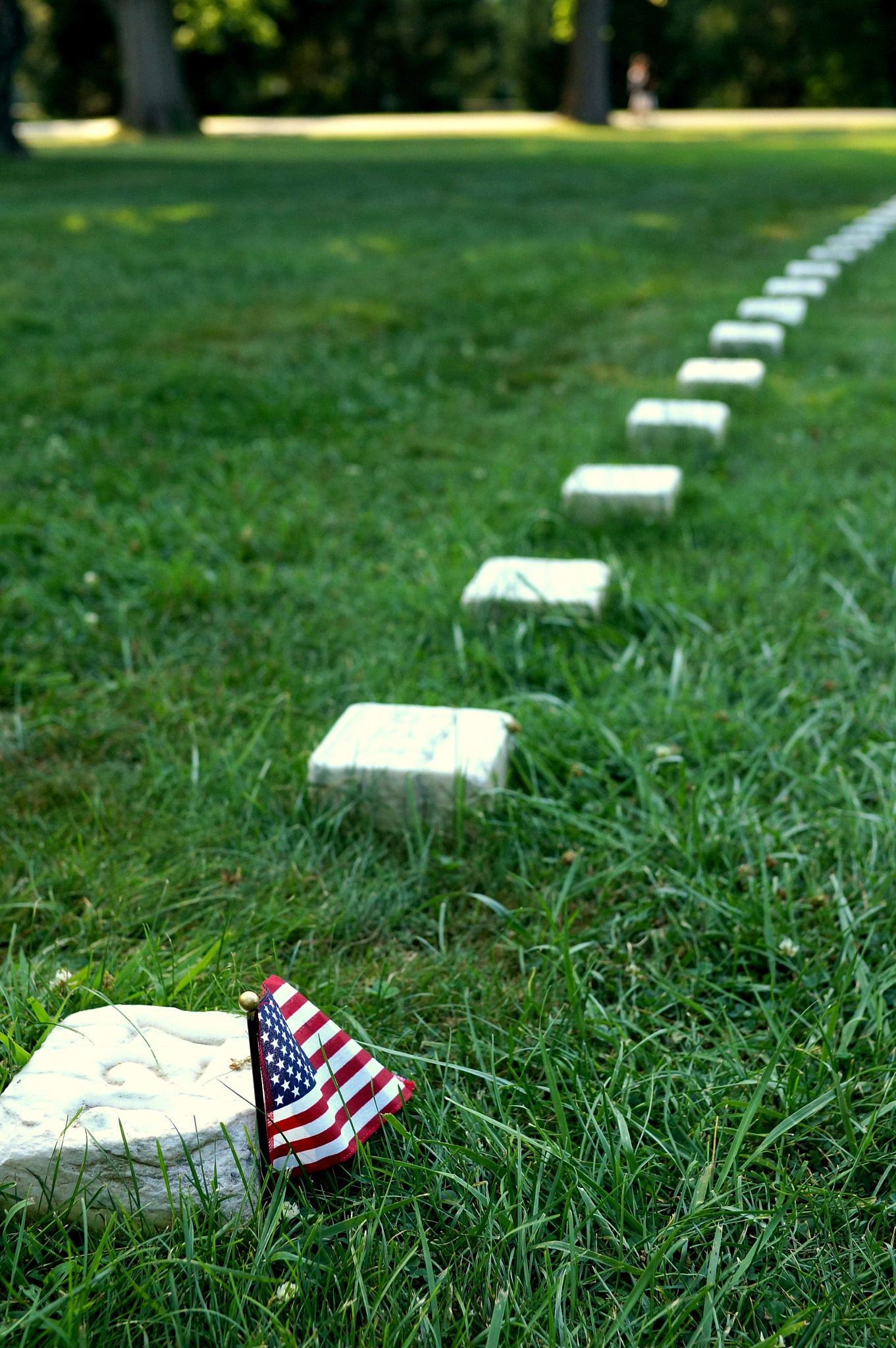 Sony Alpha NEX-6 + ZEISS Touit 32mm F1.8 sample photo. Flag at tomb of an unknown soldier. photography