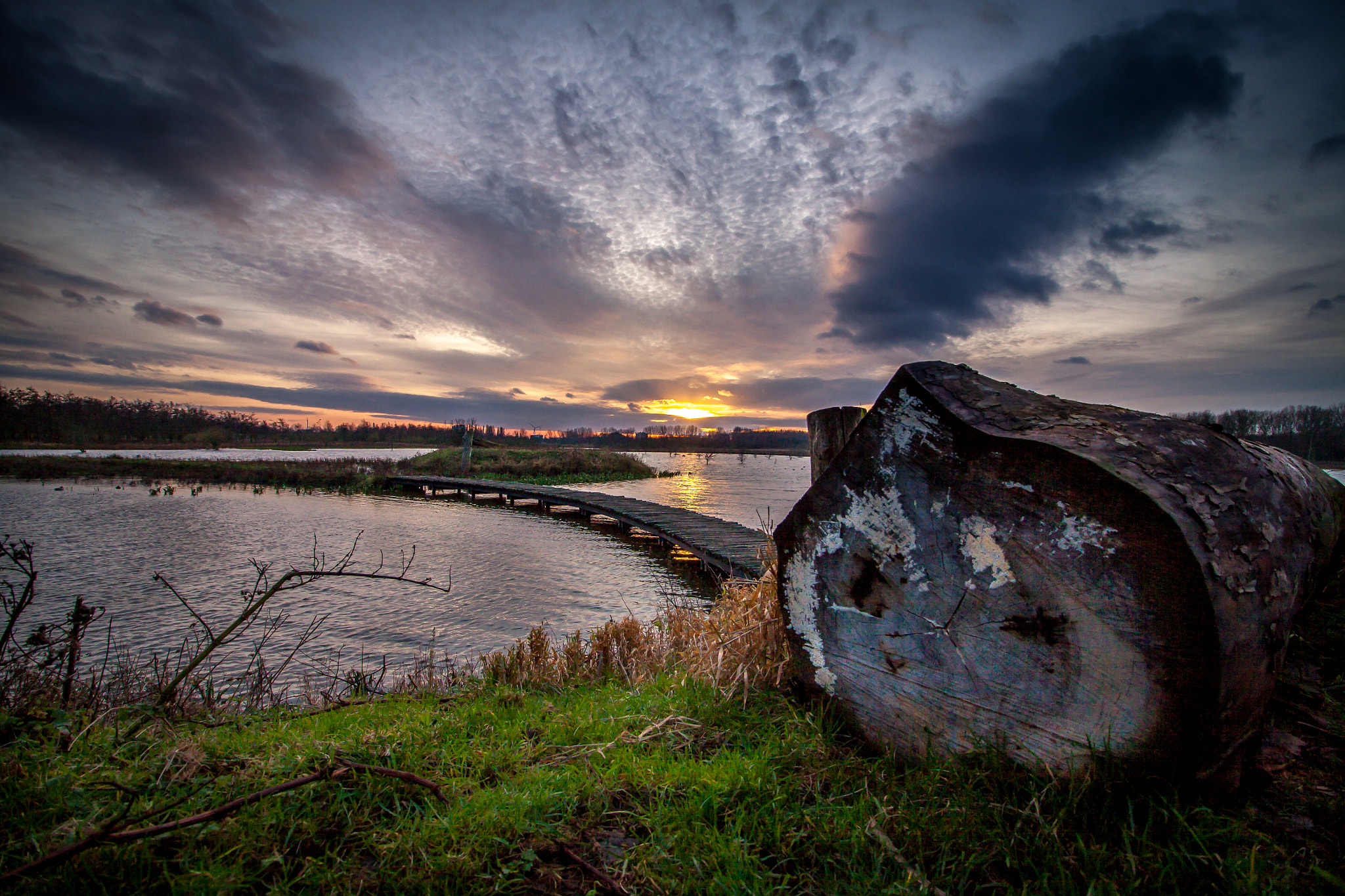 Canon EF-S 10-18mm F4.5–5.6 IS STM sample photo. De lege ruigte photography