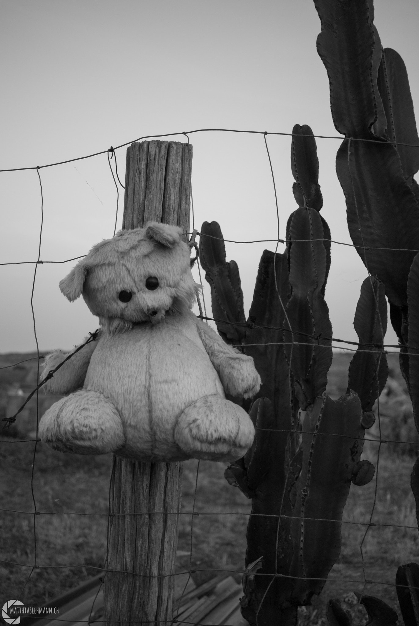 Nikon 1 J1 + Nikon 1 Nikkor 18.5mm F1.8 sample photo. Scarecrow photography