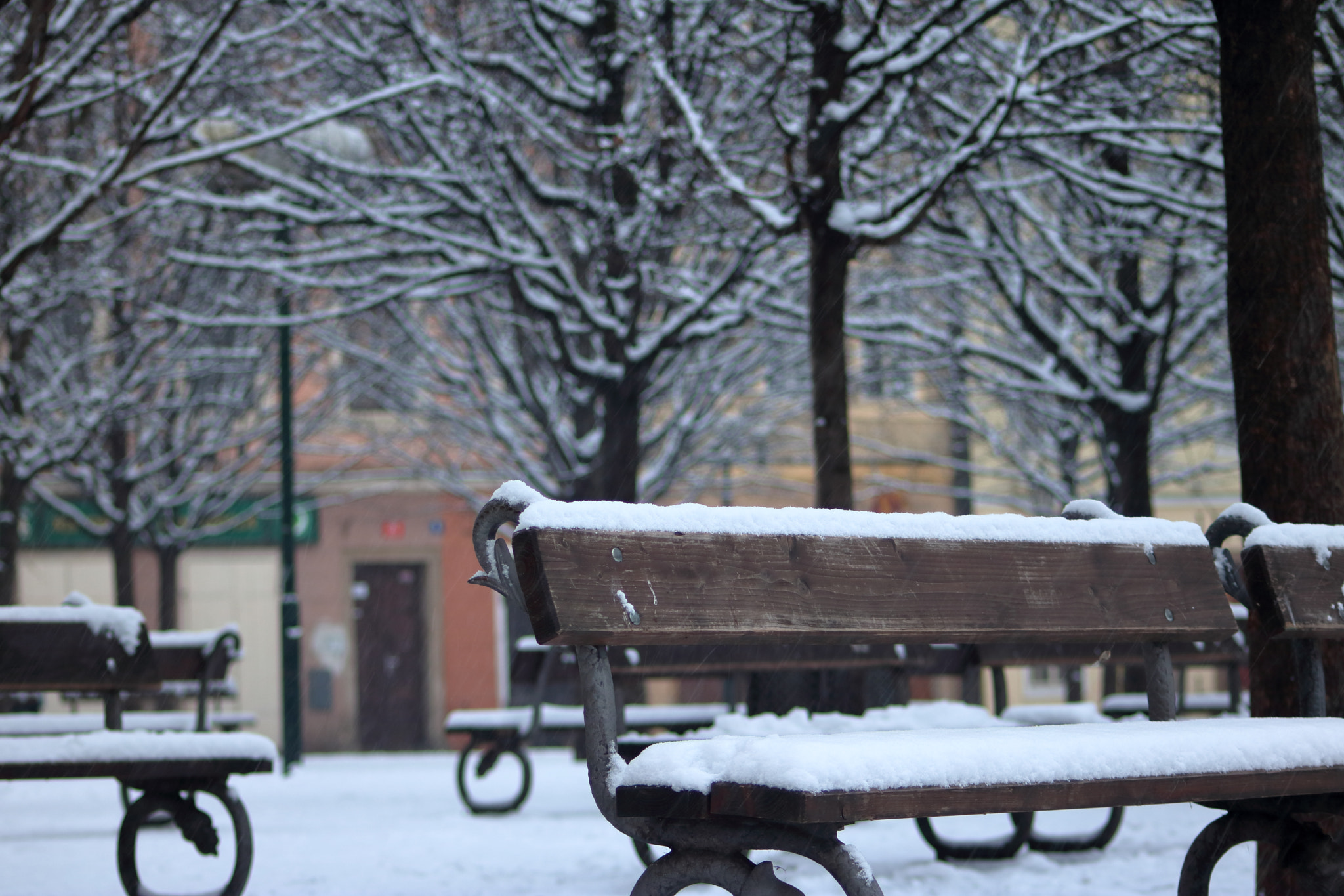 Canon EOS 760D (EOS Rebel T6s / EOS 8000D) sample photo. Snowy seats photography