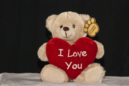 Sony Alpha DSLR-A380 sample photo. Teddy photography