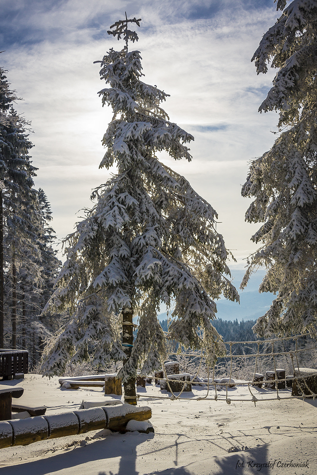 Tamron 18-270mm F3.5-6.3 Di II PZD sample photo. Winter_2016 photography