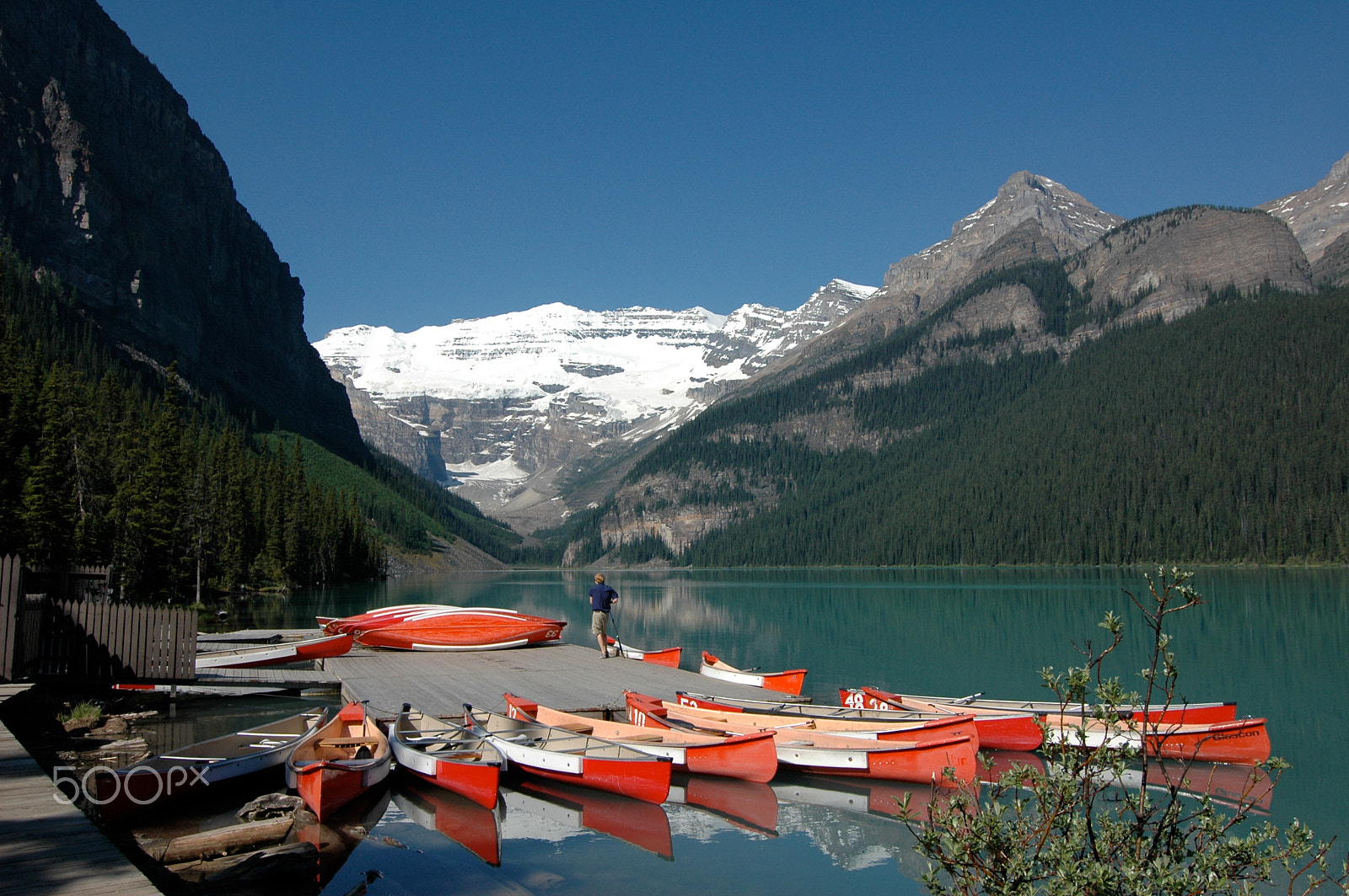Nikon D70s sample photo. Lake louise photography
