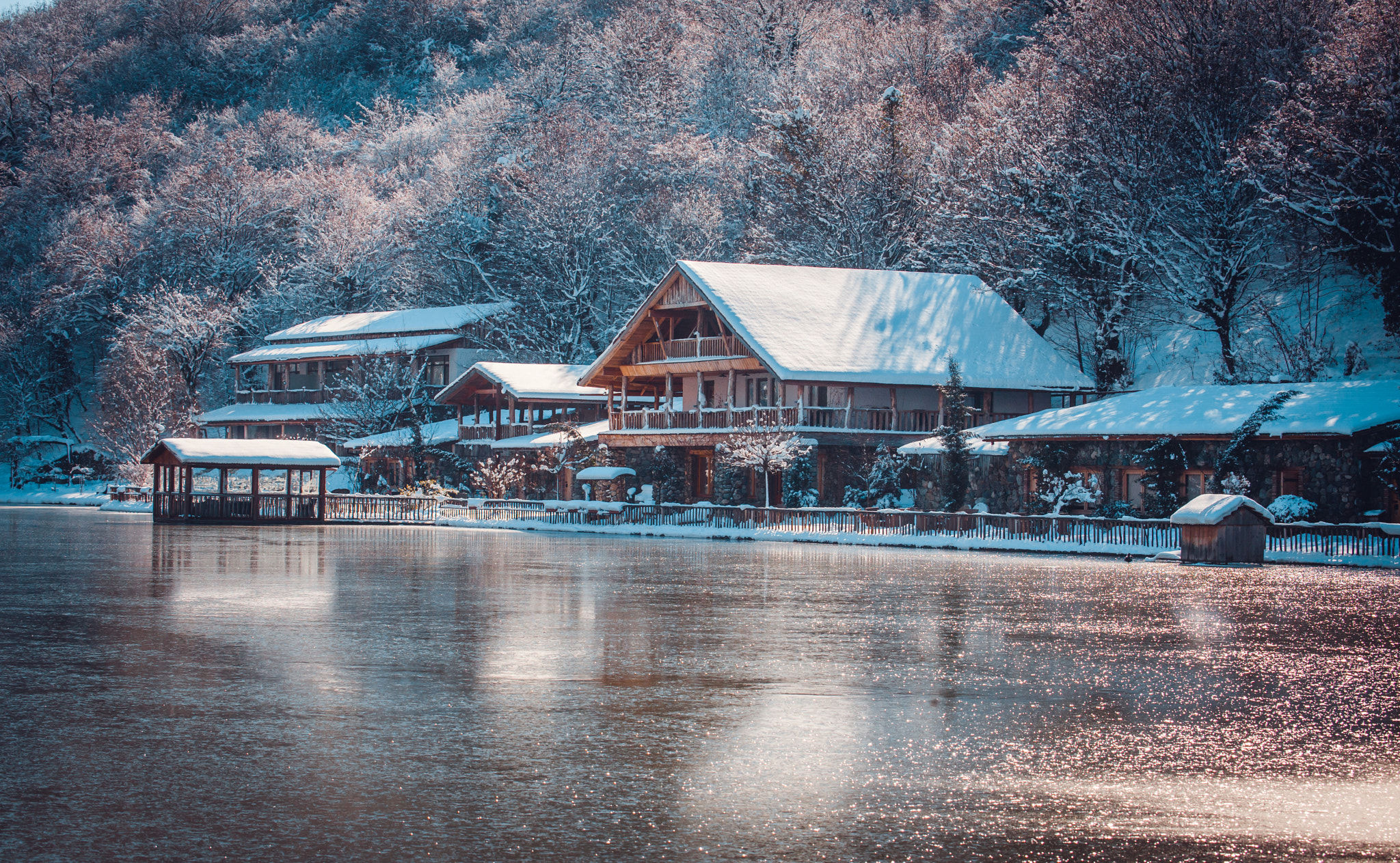 Canon EOS-1Ds Mark III sample photo. Winter in georgia photography