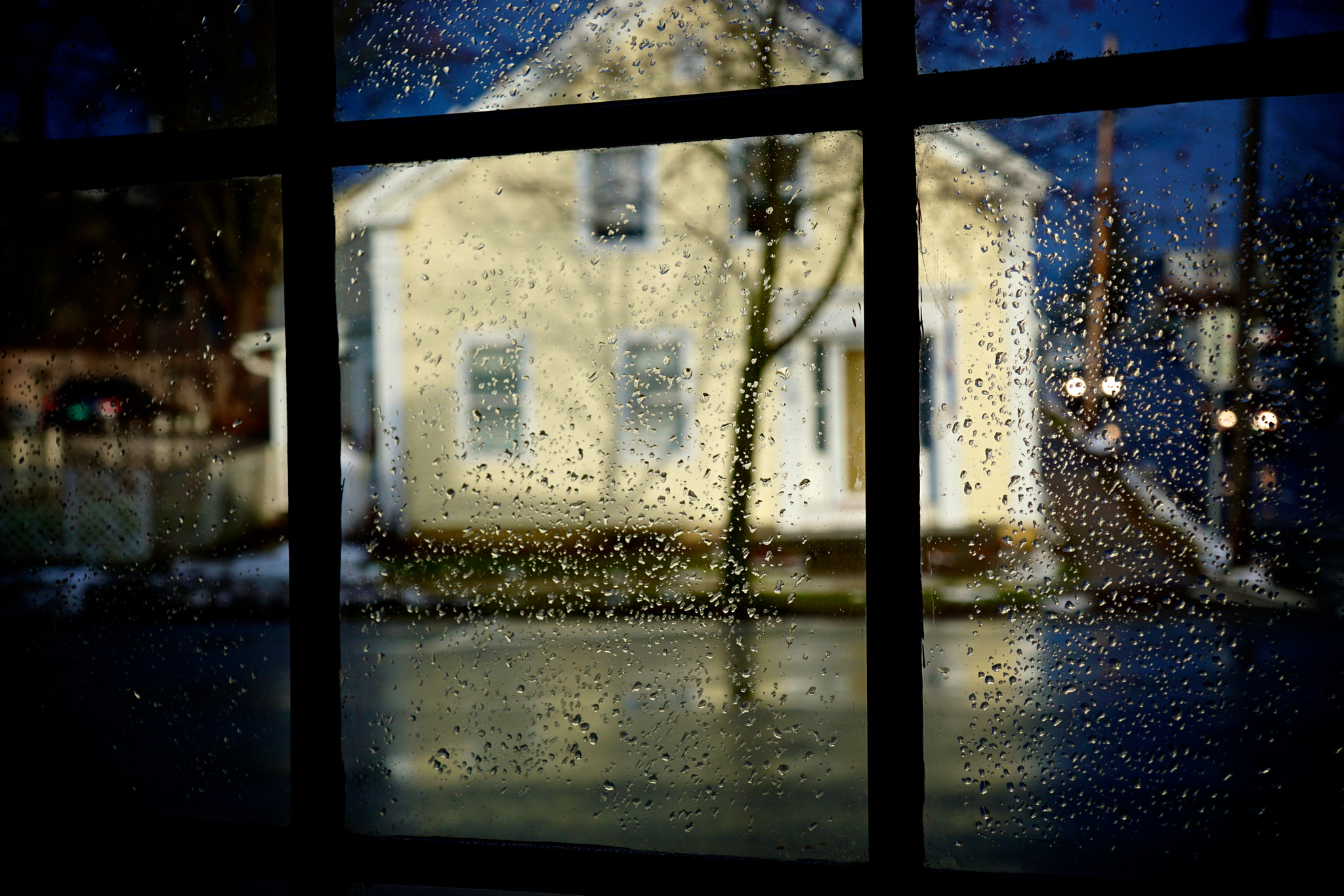 Tamron 18-200mm F3.5-6.3 Di III VC sample photo. After rain photography