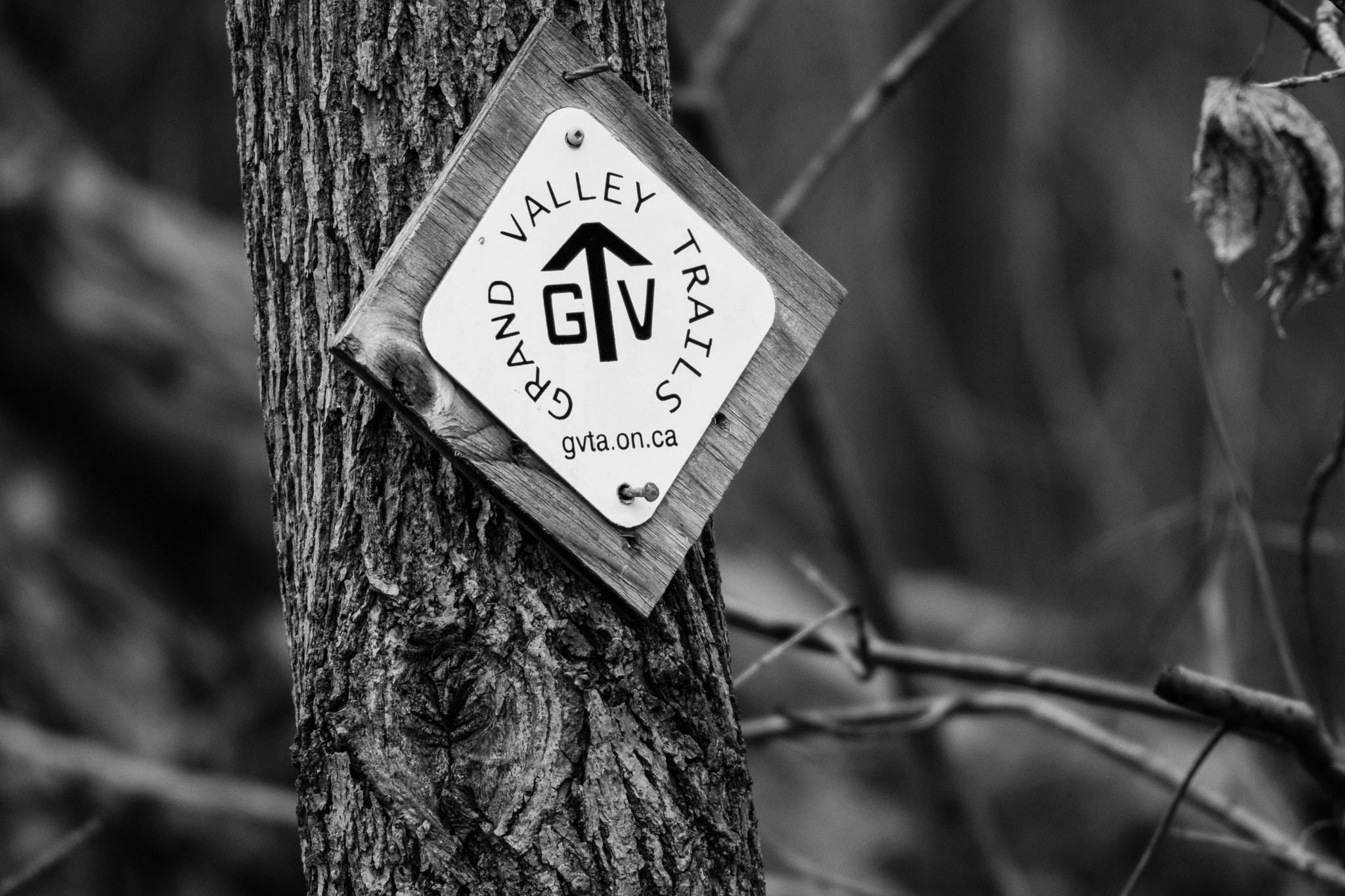 Nikon AF-S Nikkor 200-500mm F5.6E ED VR sample photo. Grand valley trails sign photography
