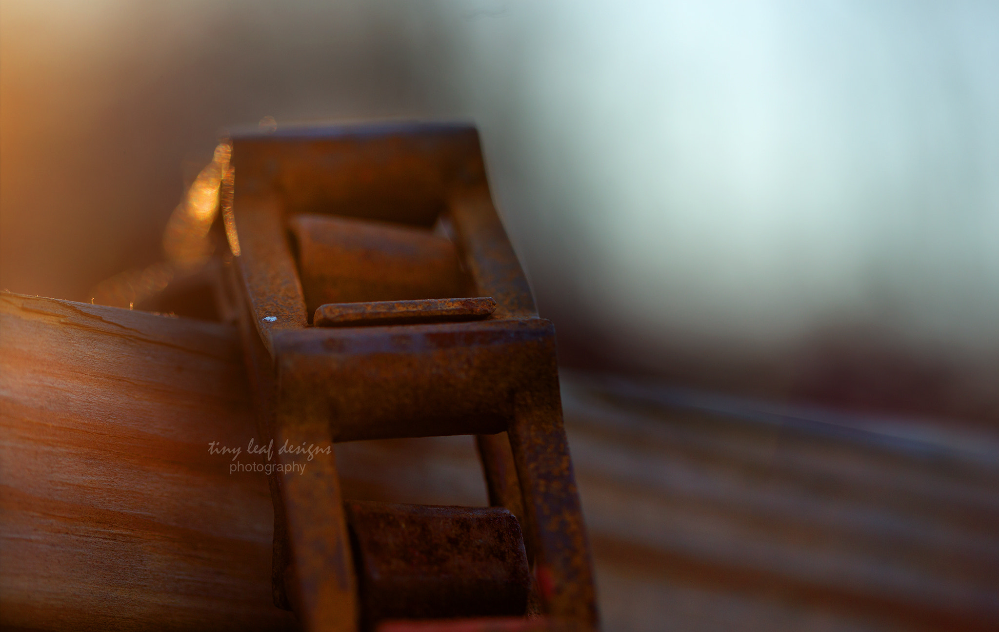 Canon EOS 6D + Canon EF 100mm F2.8 Macro USM sample photo. Weathered photography