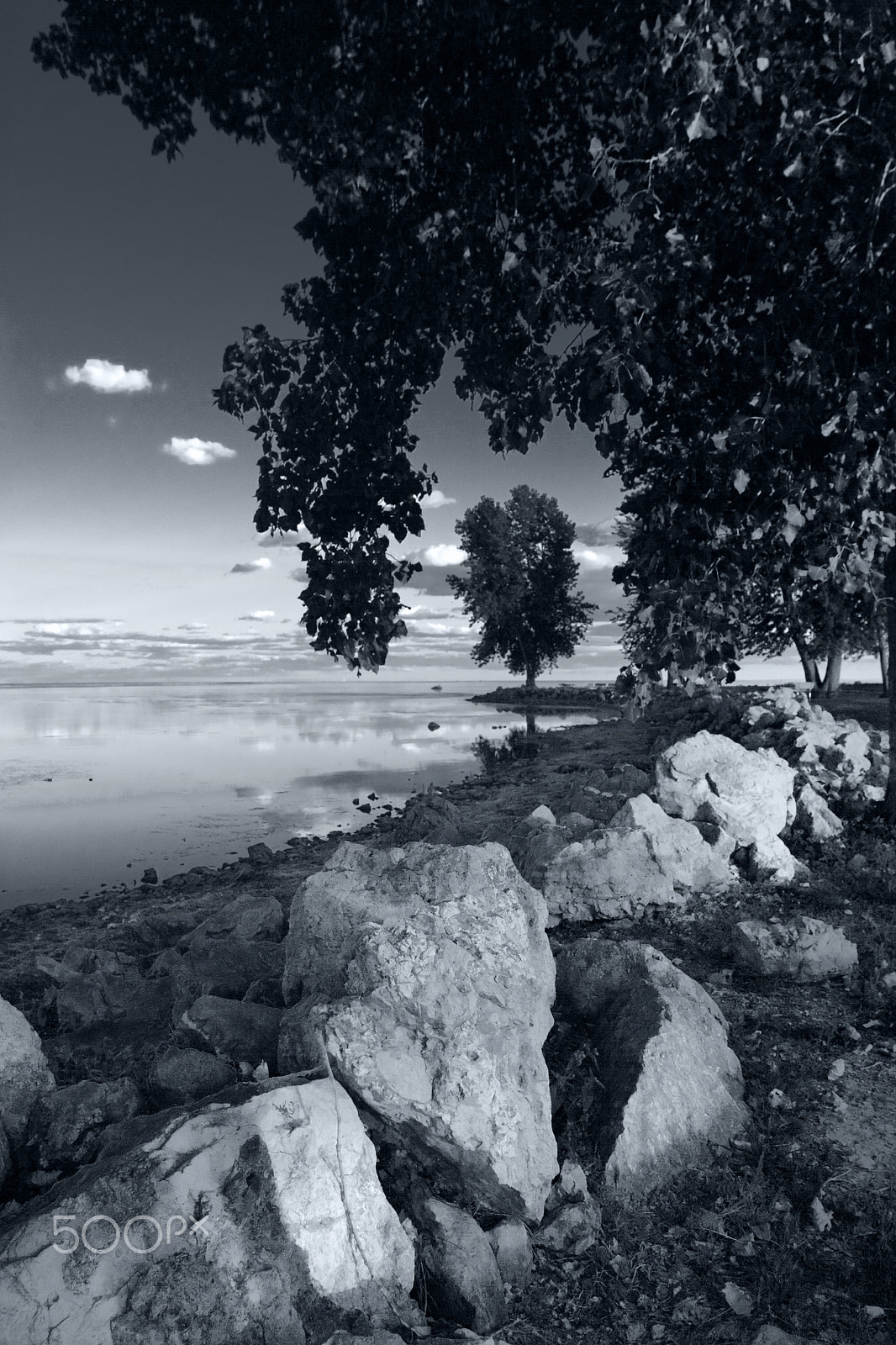 Canon EOS-1D Mark II sample photo. Lemp iii photography