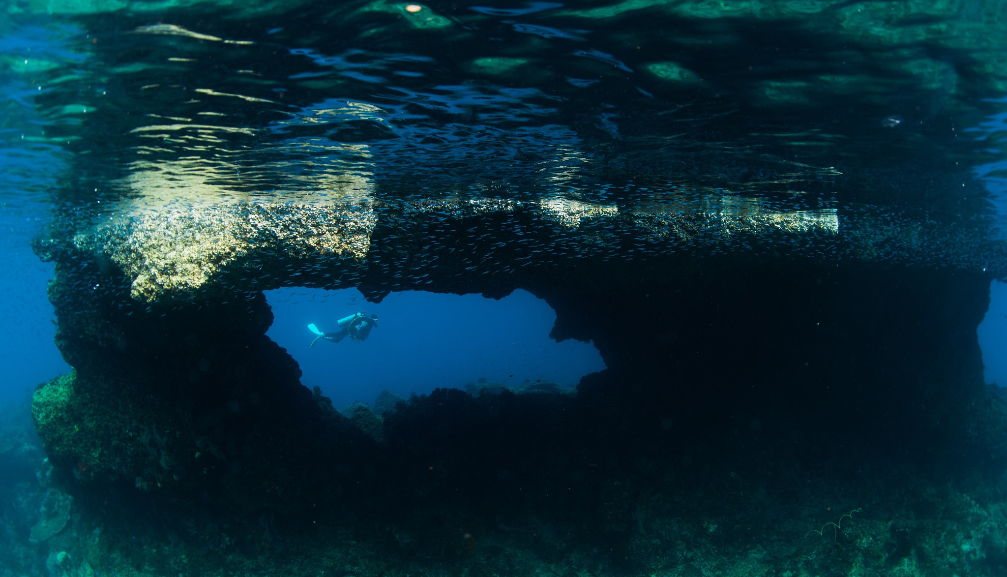 Nikon D3X + Nikon AF Fisheye-Nikkor 16mm F2.8D sample photo. 印尼四王群岛 photography