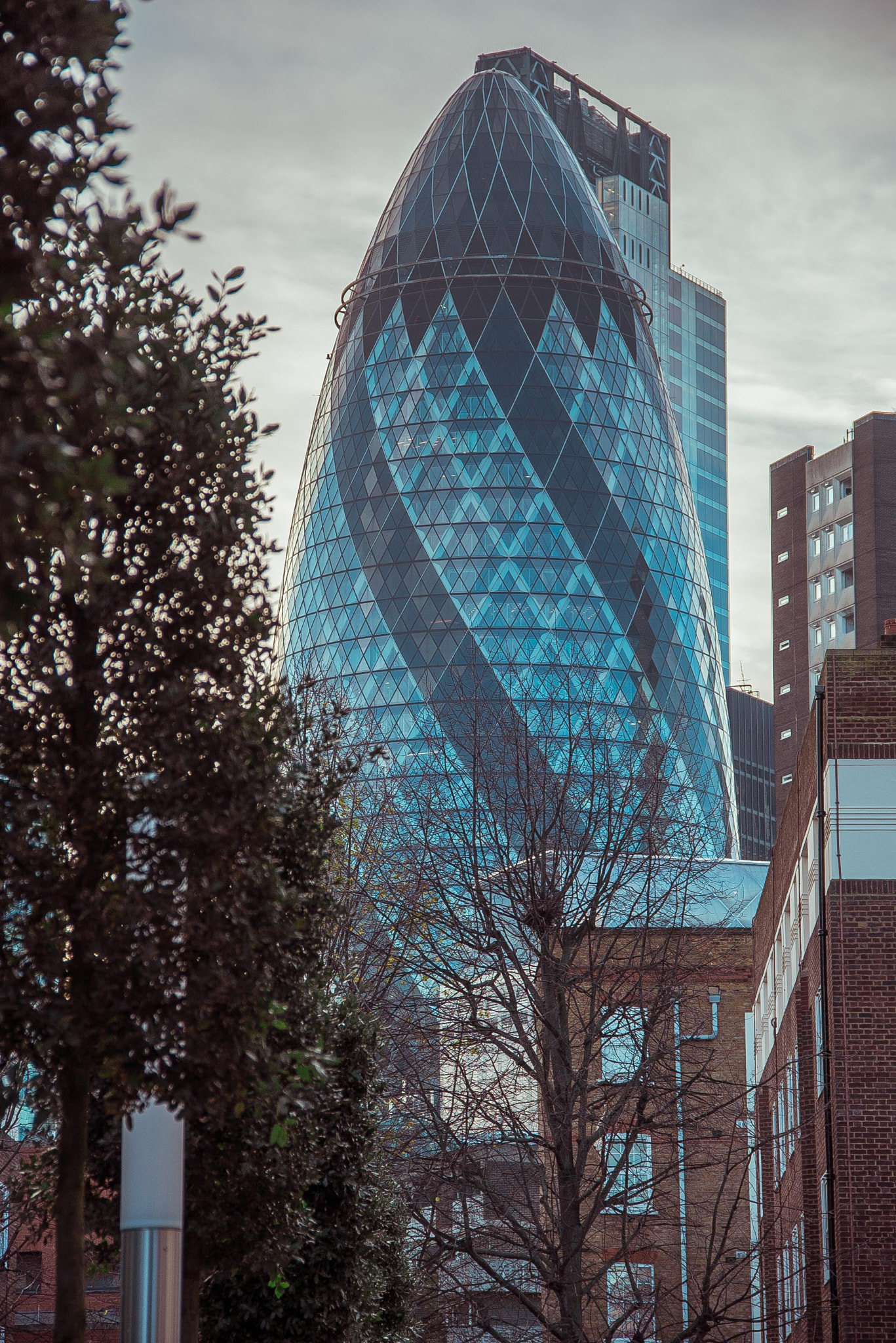 Sony a7S + Canon EF-S 18-135mm F3.5-5.6 IS sample photo. Gherkin photography