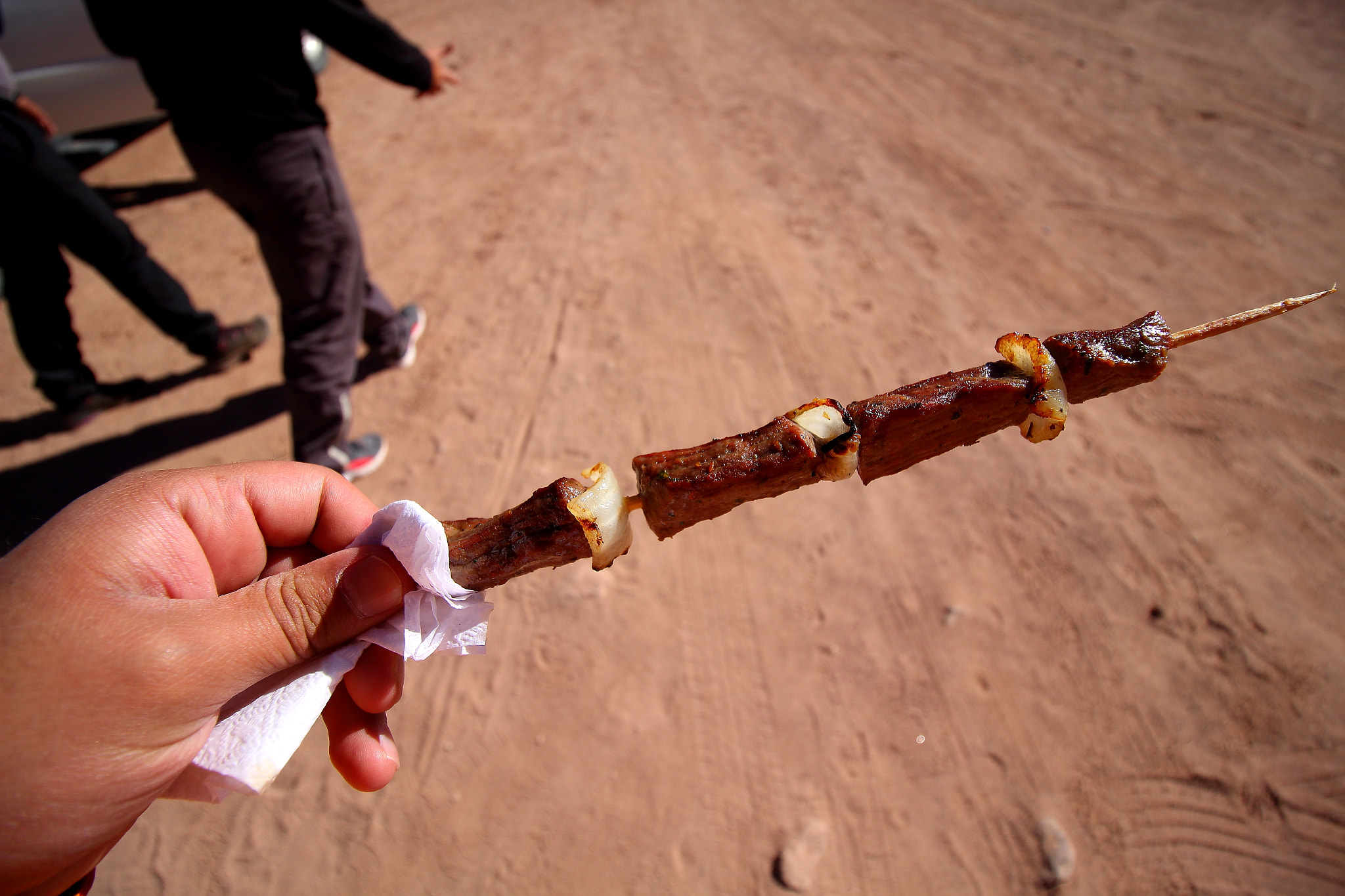 Canon EF-S 10-18mm F4.5–5.6 IS STM sample photo. Enjoy meat  llamo... photography
