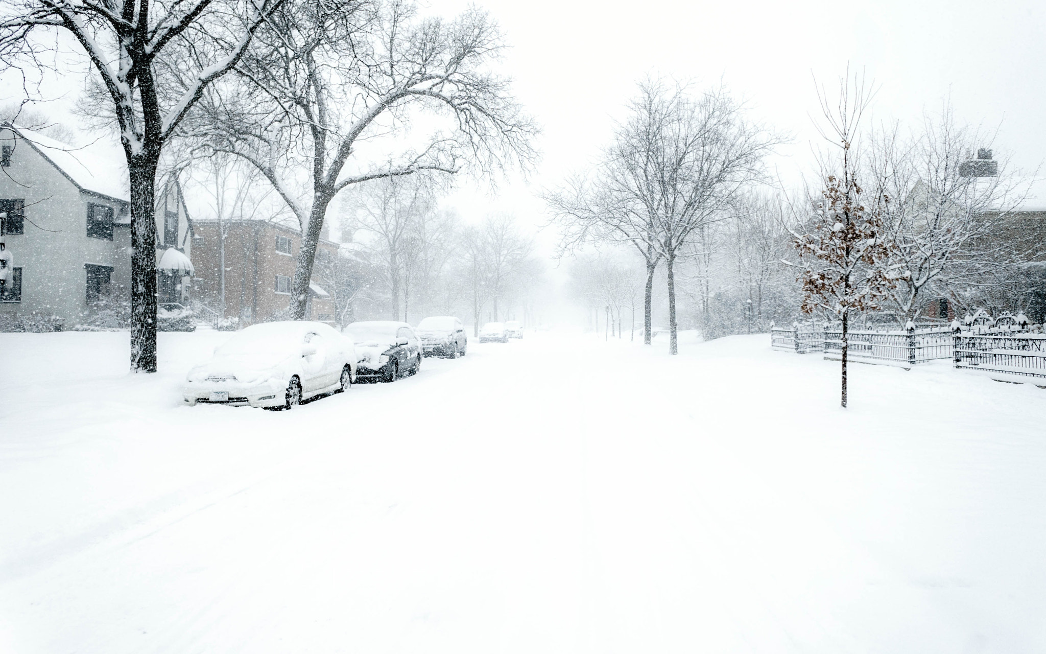 Sony a7 II + Sony E 16mm F2.8 sample photo. Burried photography