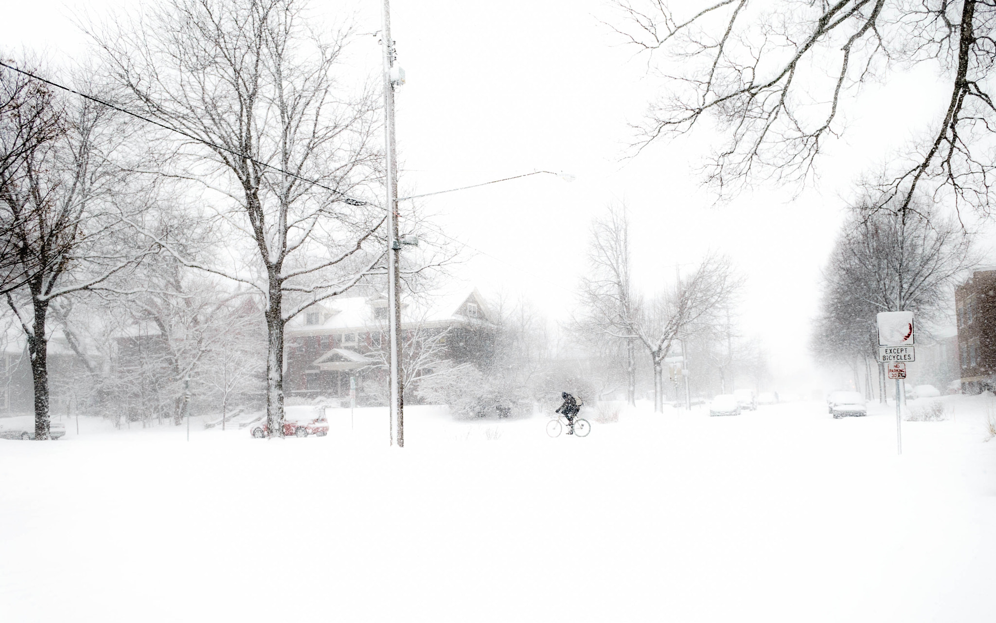 Sony a7 II + Sony E 16mm F2.8 sample photo. Bearing the storm photography