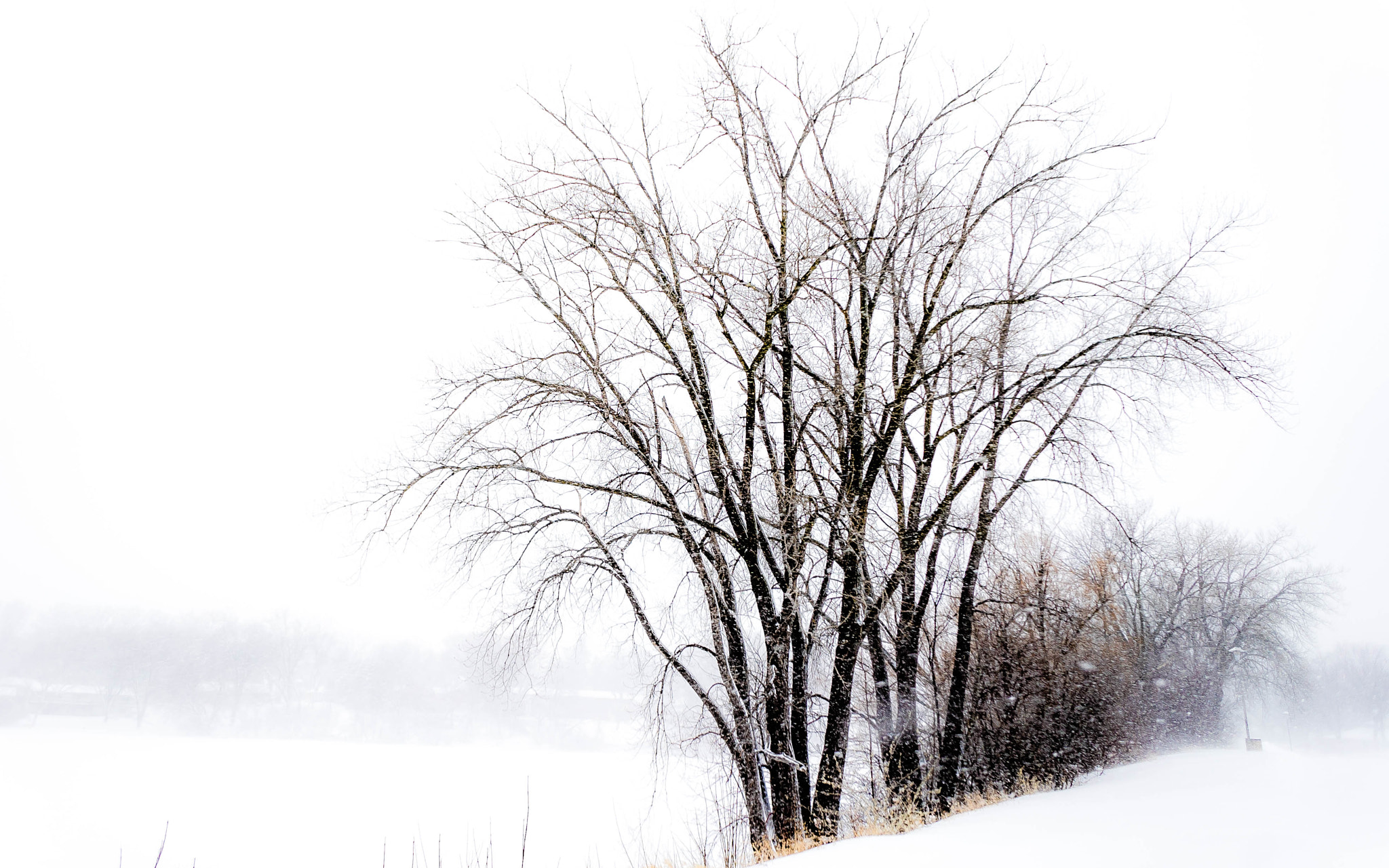 Sony a7 II + Sony E 16mm F2.8 sample photo. Frozen lakeside photography