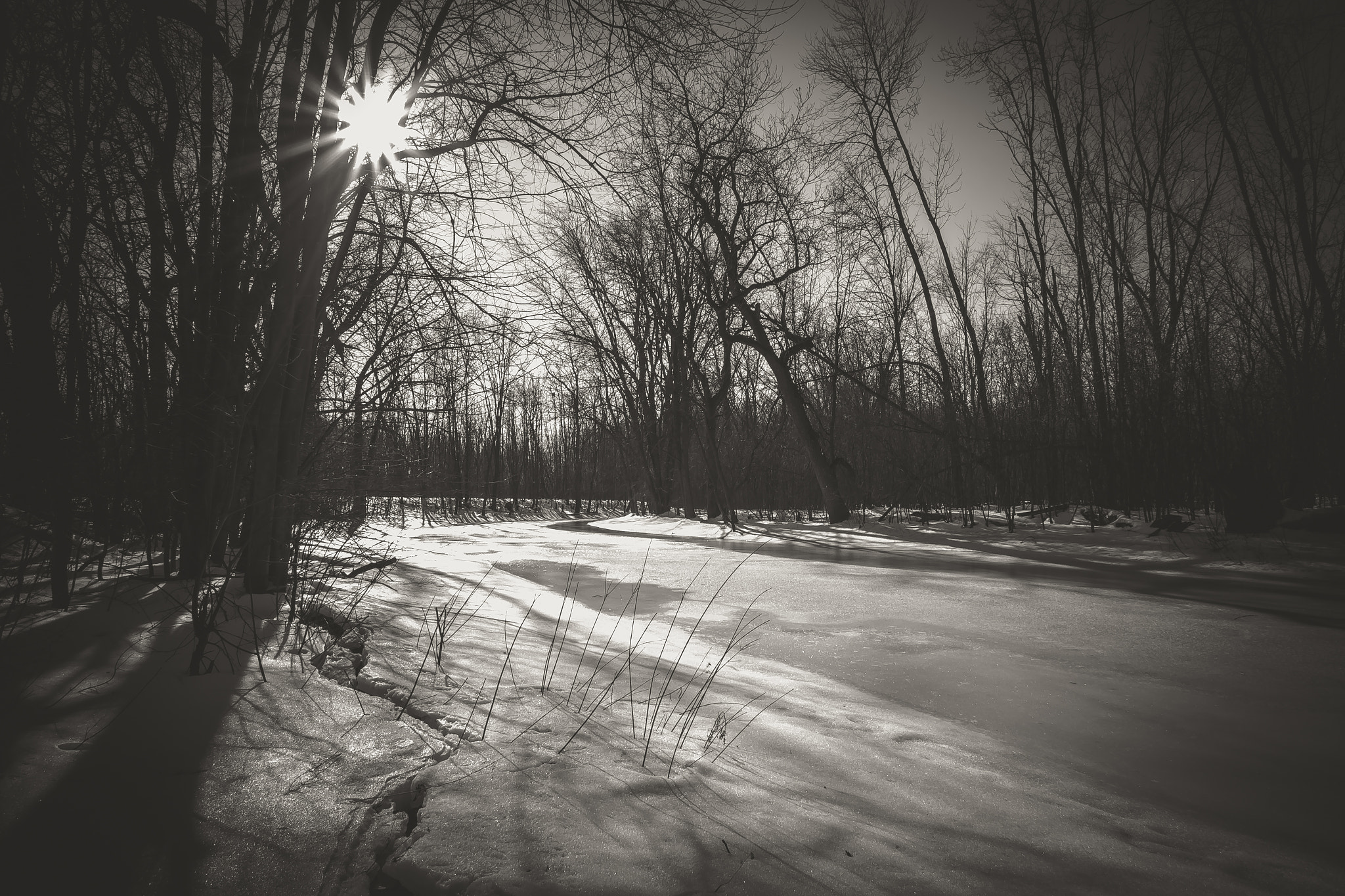 Sigma 10-20mm F3.5 EX DC HSM sample photo. Dogwood photography - landscape: black and white - week 5 photography