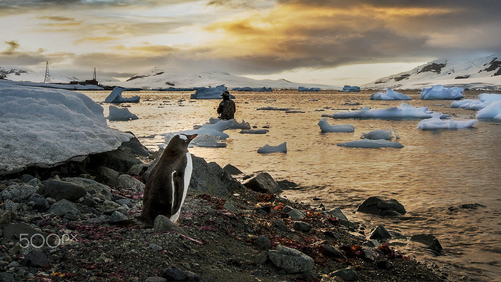 Nikon AF-S Nikkor 17-35mm F2.8D ED-IF sample photo. Antarctic photography