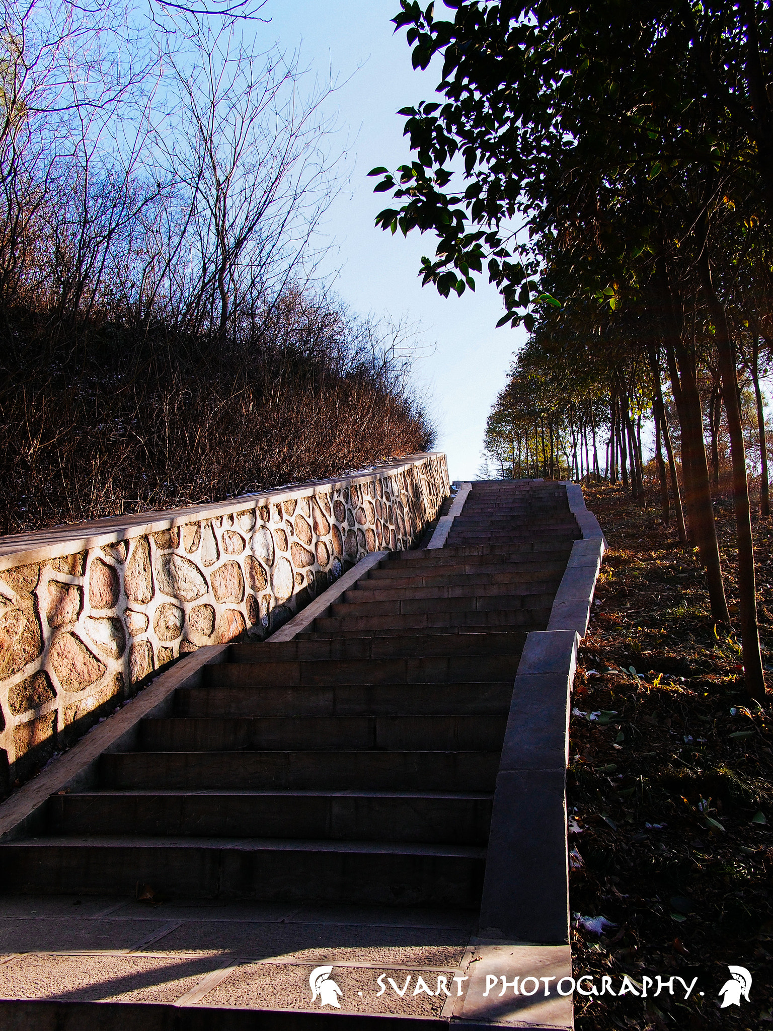 Olympus PEN E-PL5 + Panasonic Lumix G 14mm F2.5 ASPH sample photo. _1251886 photography