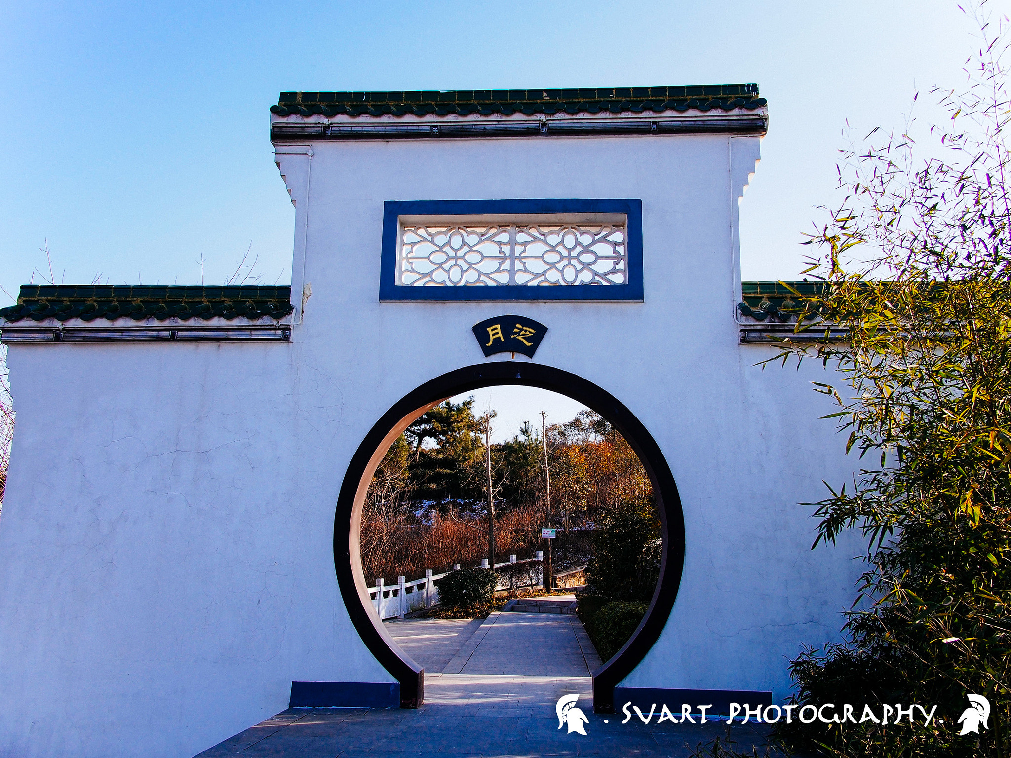 Olympus PEN E-PL5 + Panasonic Lumix G 14mm F2.5 ASPH sample photo. _1251888 photography