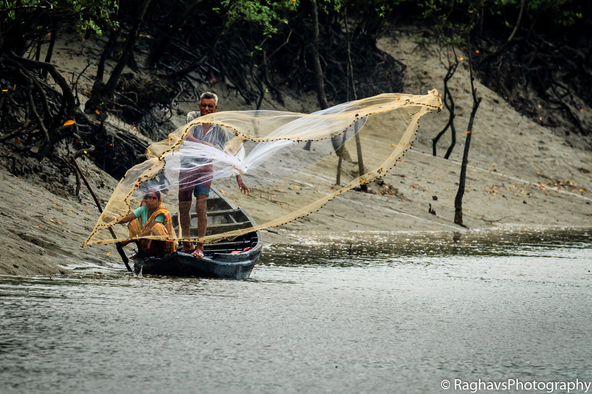 Tamron SP 150-600mm F5-6.3 Di VC USD sample photo. Catch photography