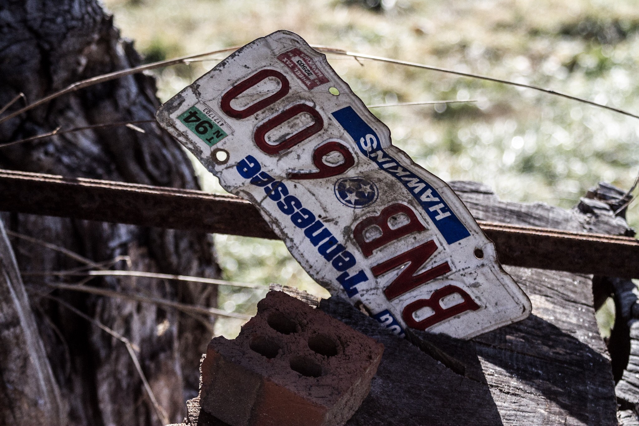 Canon EOS 7D + Canon EF 28-90mm f/4-5.6 sample photo. License plate lodged in stump photography