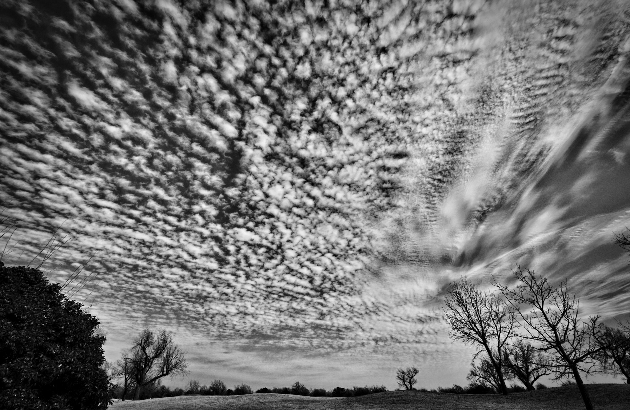 Canon EF-S 10-22mm F3.5-4.5 USM sample photo. For cirrus lovers photography